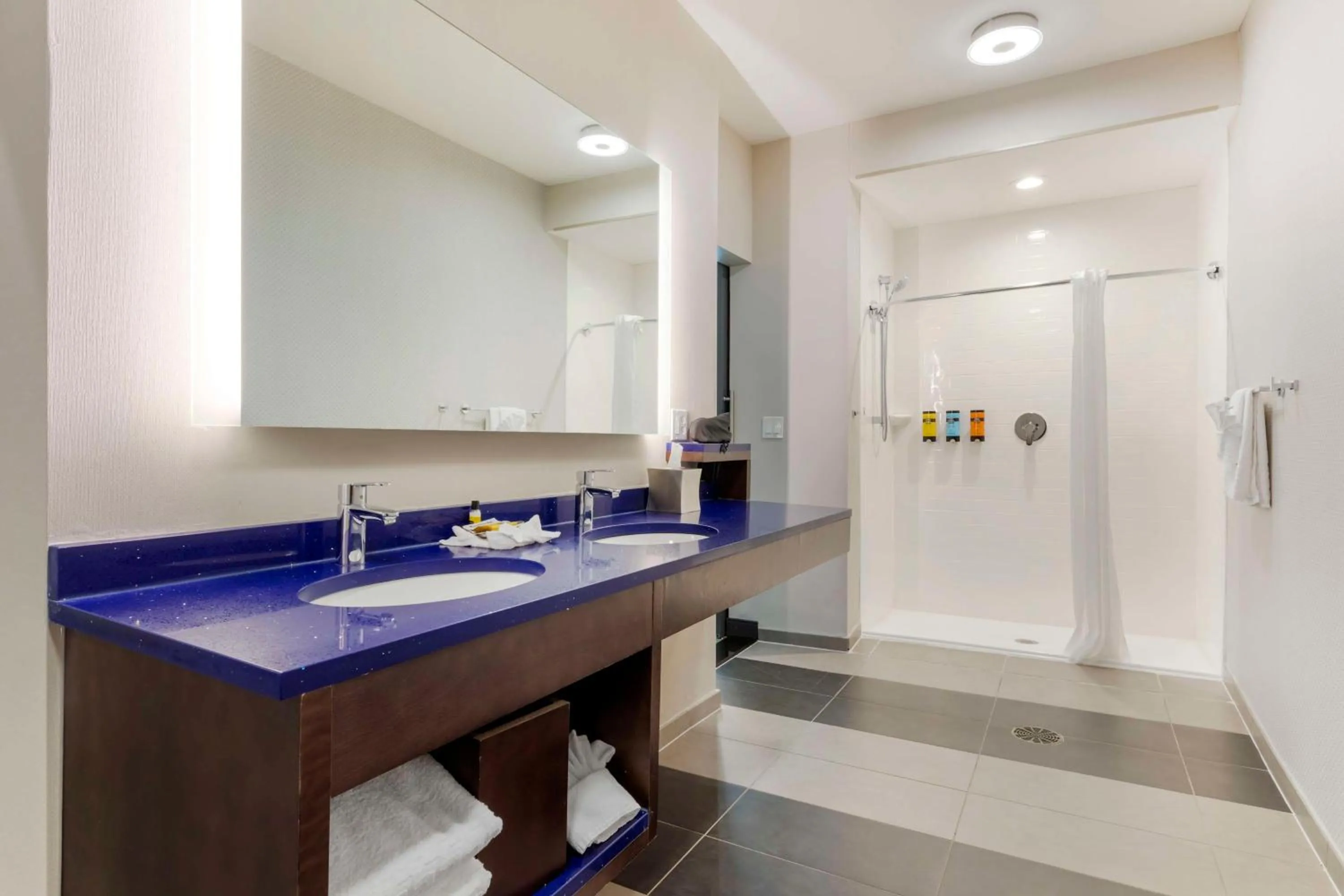 Bathroom in GLō Best Western Dallas South DeSoto