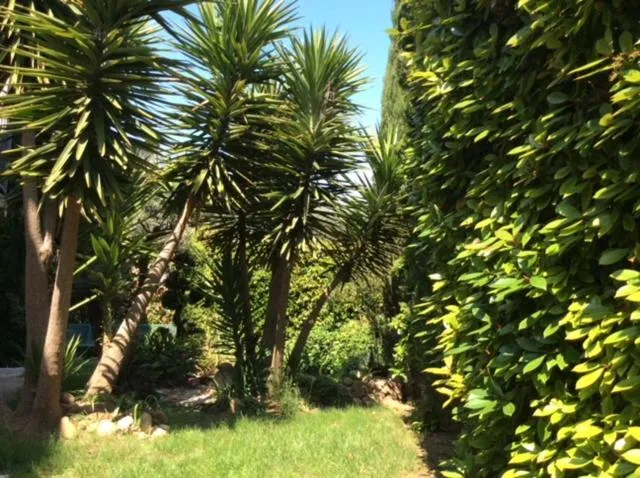 Garden in Bouzigues Suite Parentale Étang de Thau