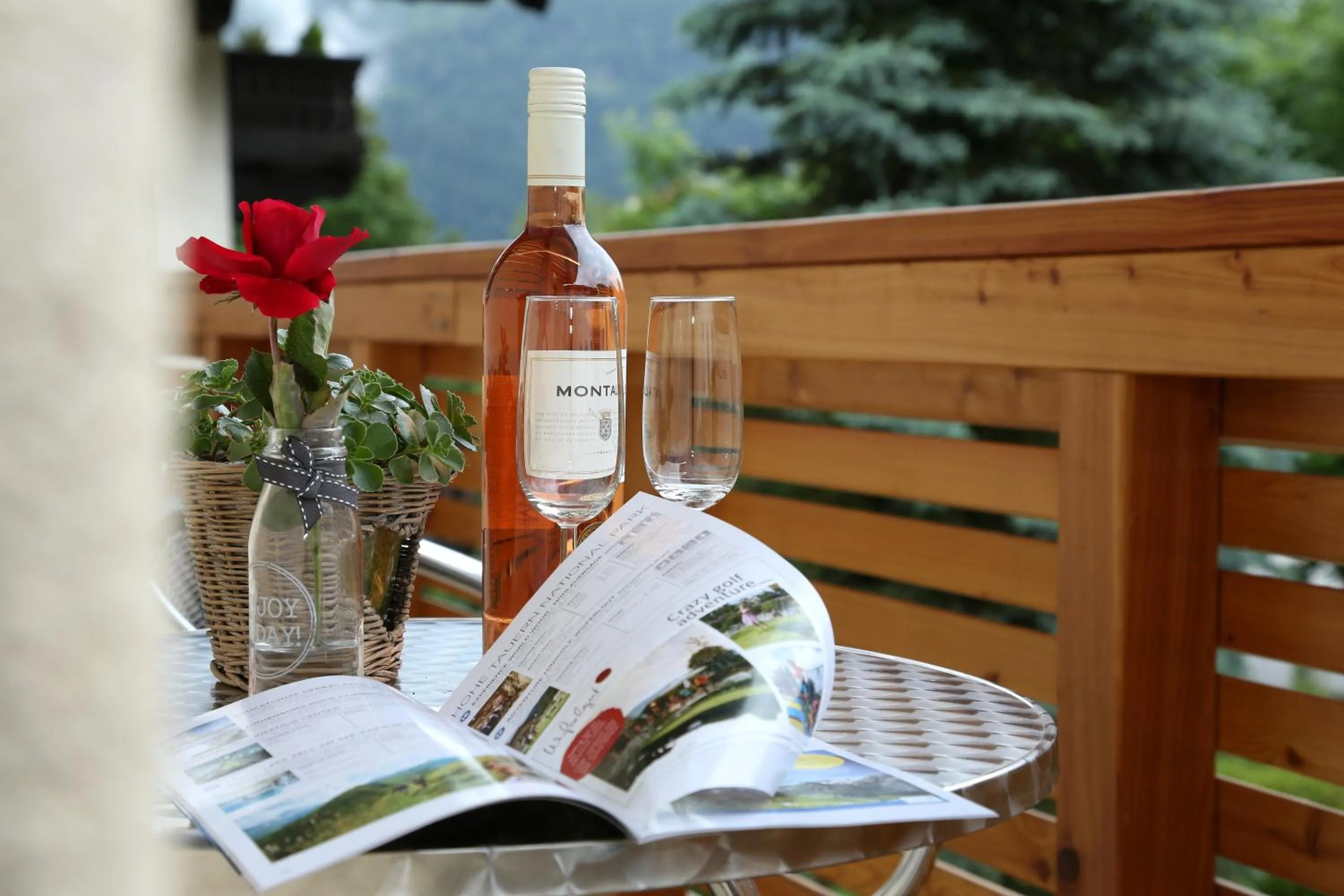 Balcony/Terrace in Chalet Jasmin