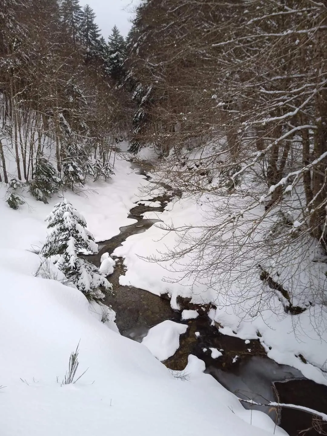 Winter in B&B Centrum Palmi