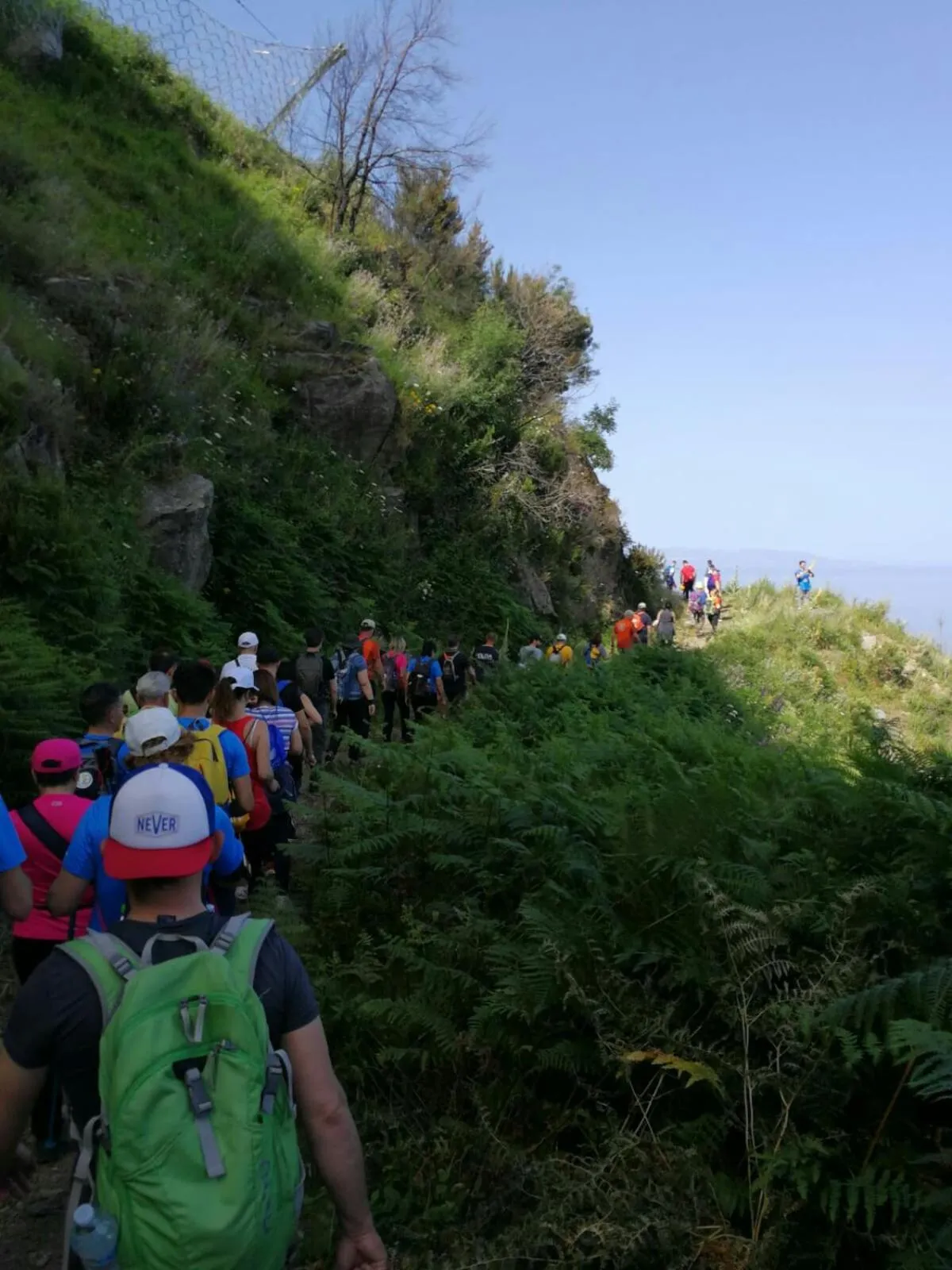 Natural landscape in B&B Centrum Palmi