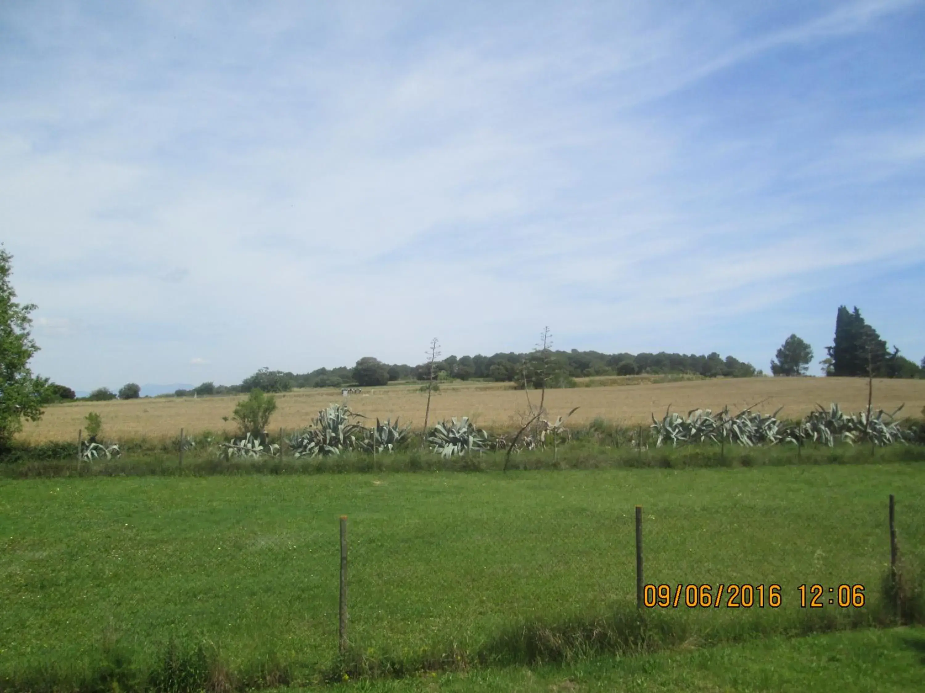 Single Room with Private Bathroom in Hostal Avi Pep Single Room with Private Bathroom in Hostal Avi Pep