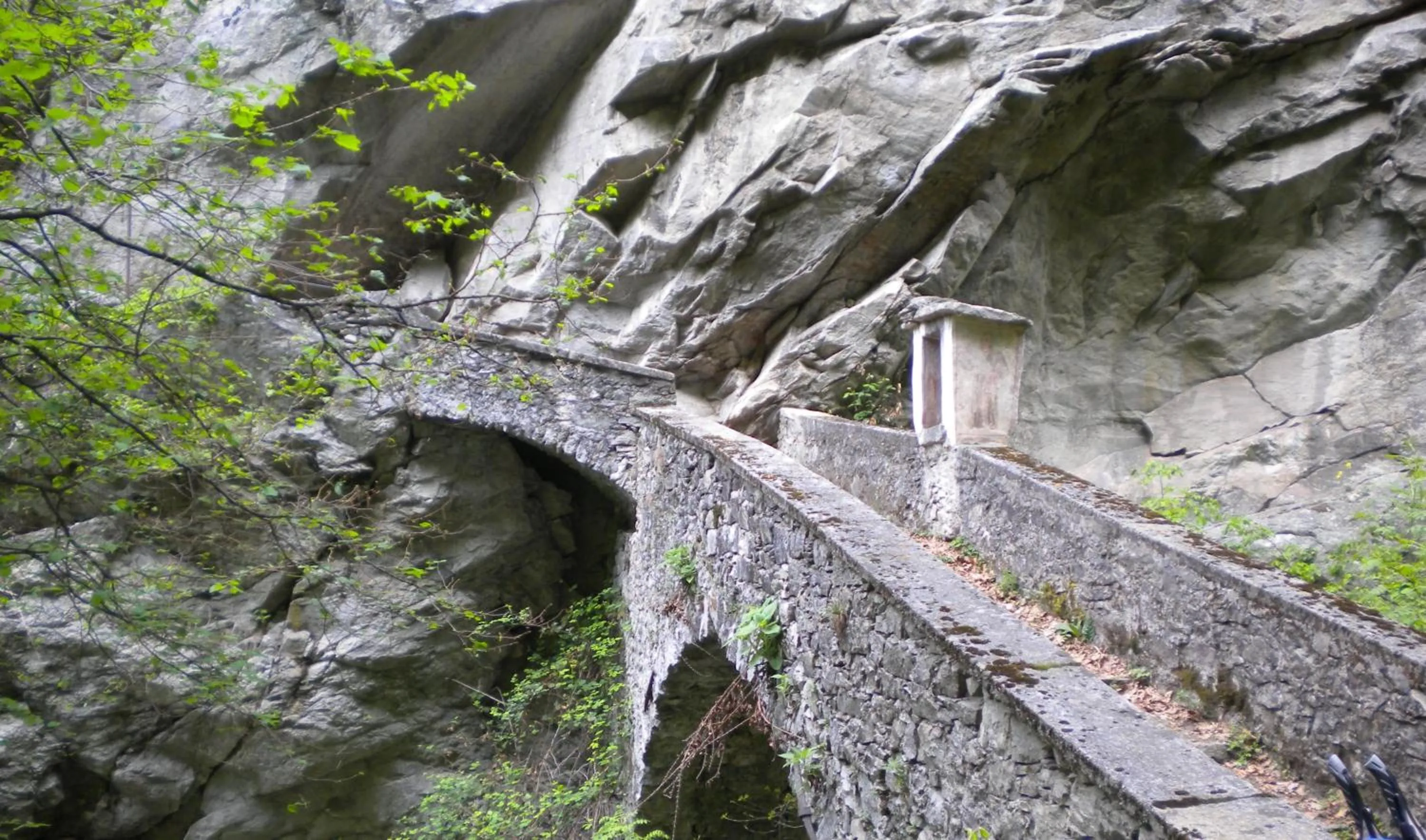 Natural landscape in Hotel Saligari