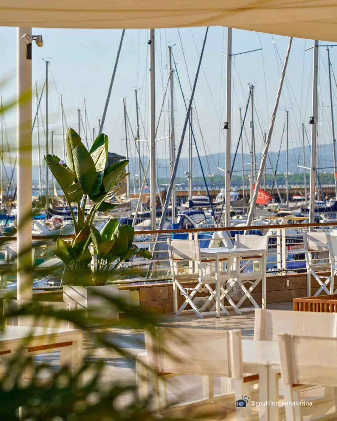 Restaurant/places to eat in Marina di Scarlino Resort