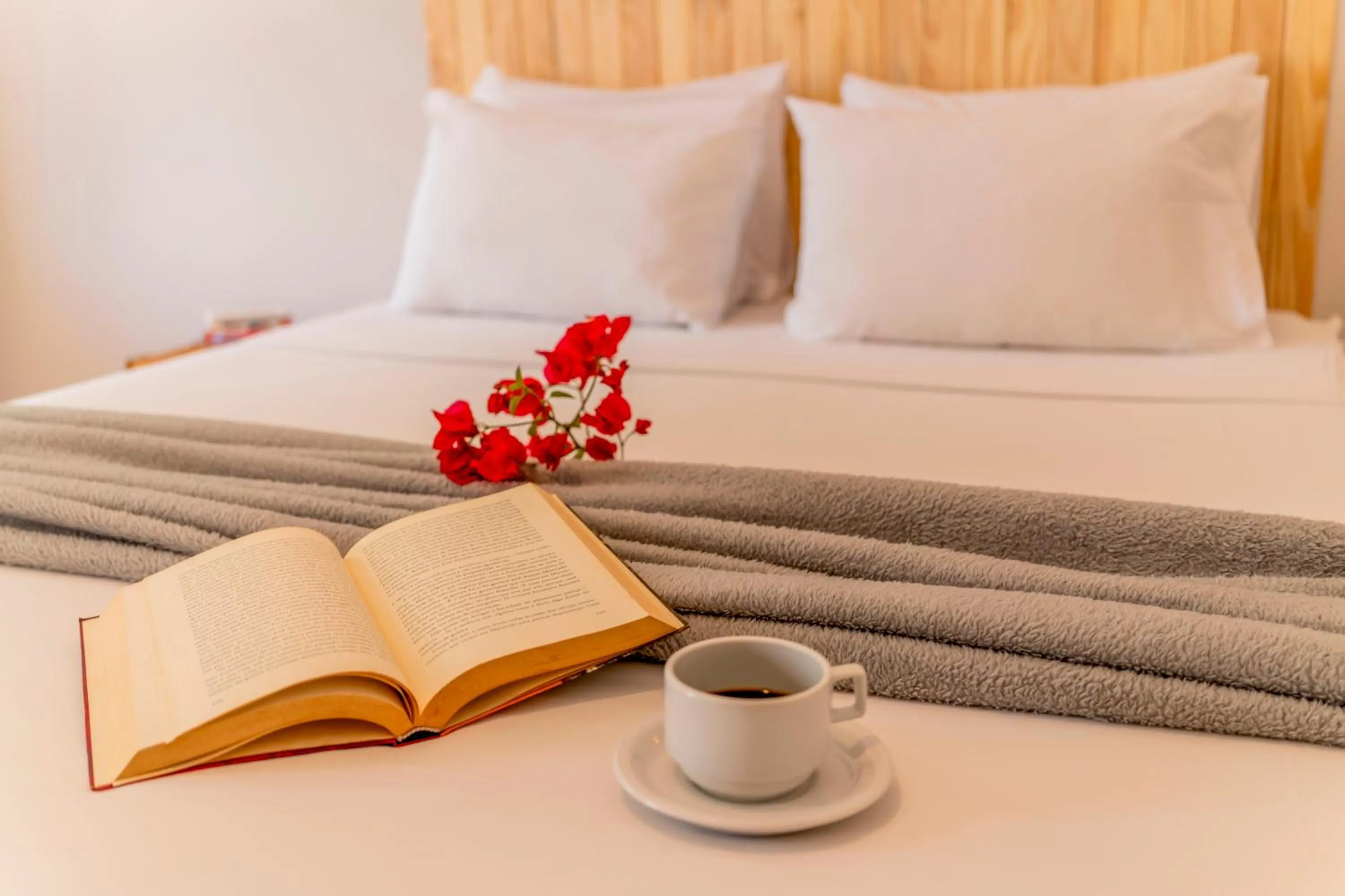 Bed in Casa Suiça Brasileira