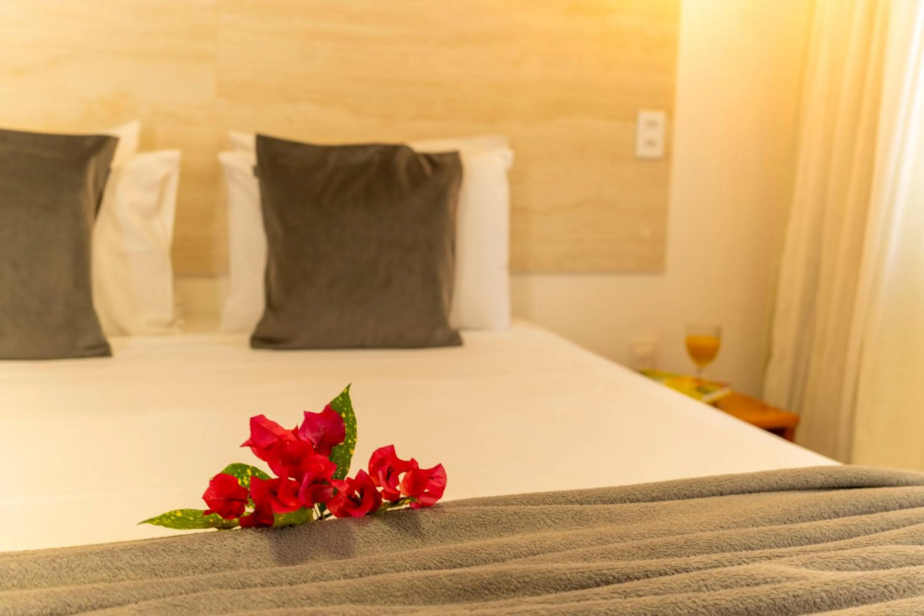 Bed in Casa Suiça Brasileira