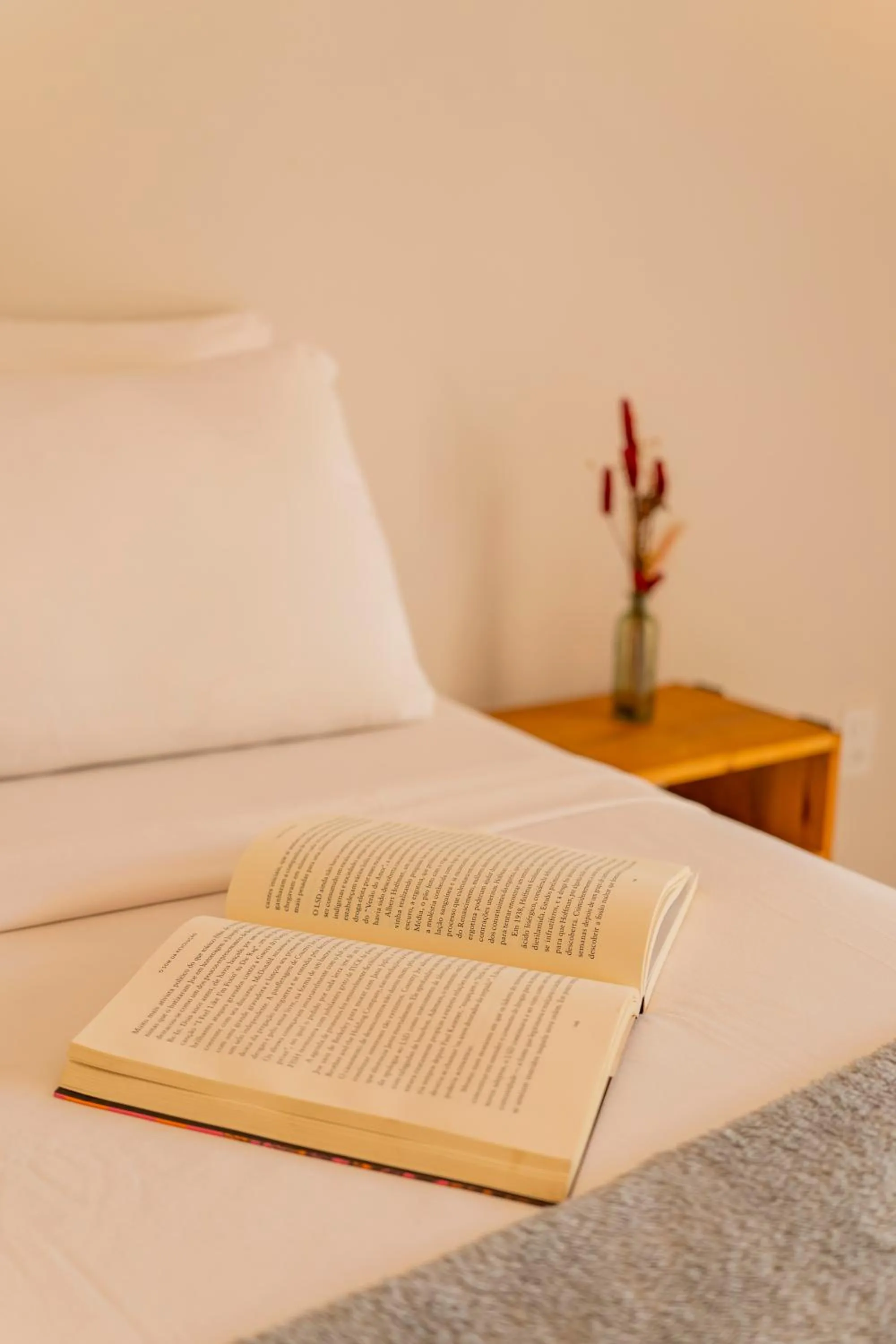 Bed in Casa Suiça Brasileira