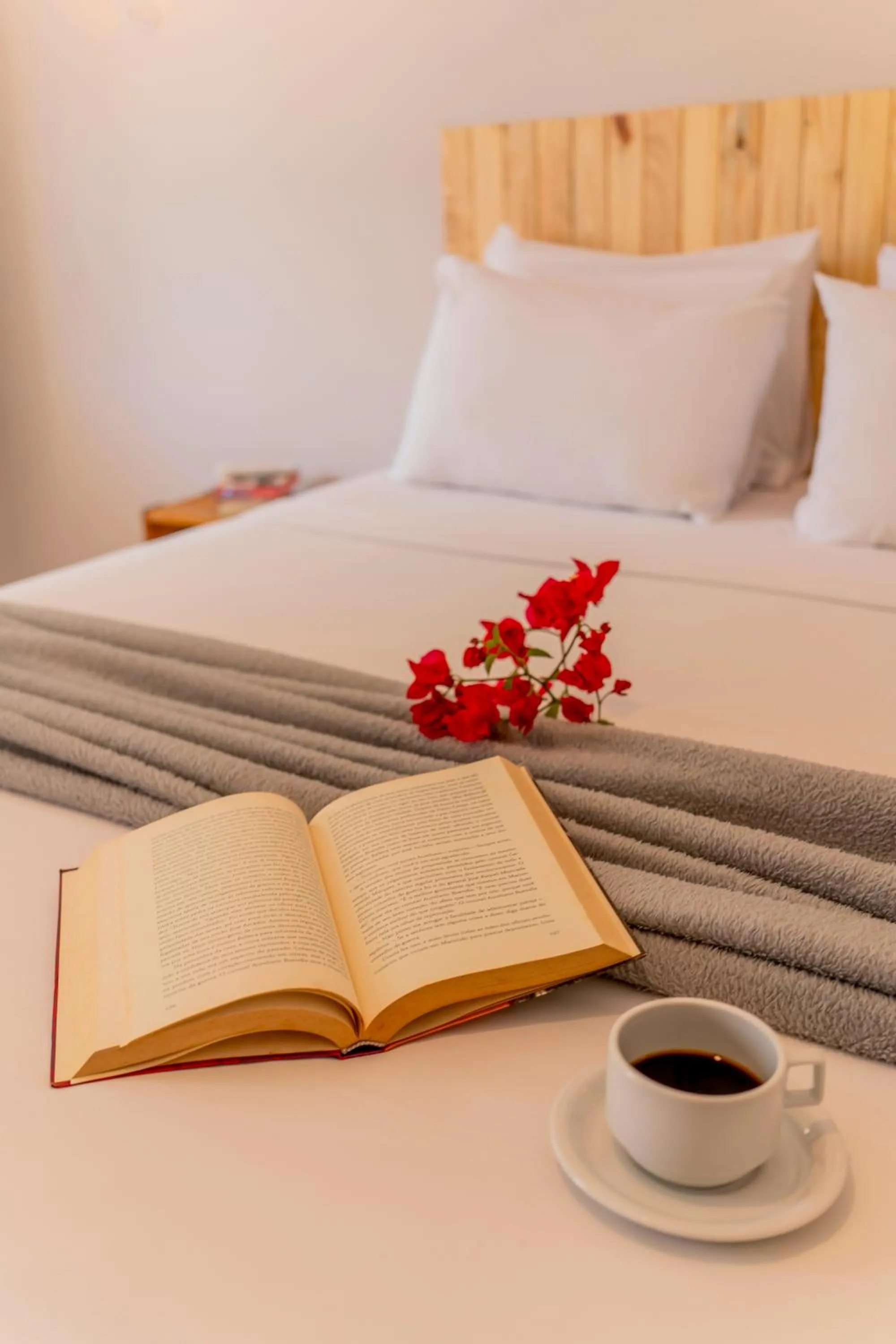 Bed in Casa Suiça Brasileira