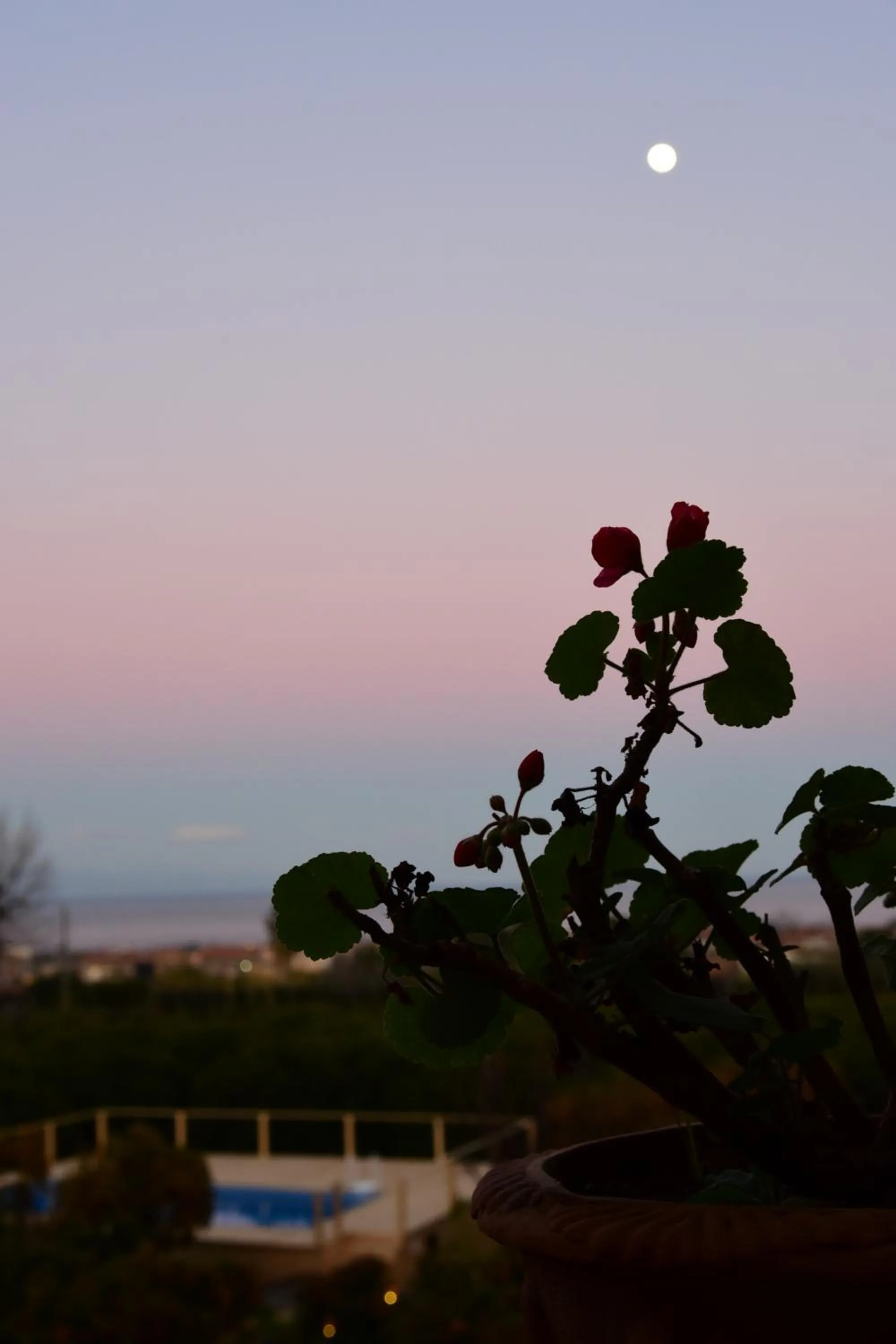 Sunset in Giardino Arancio