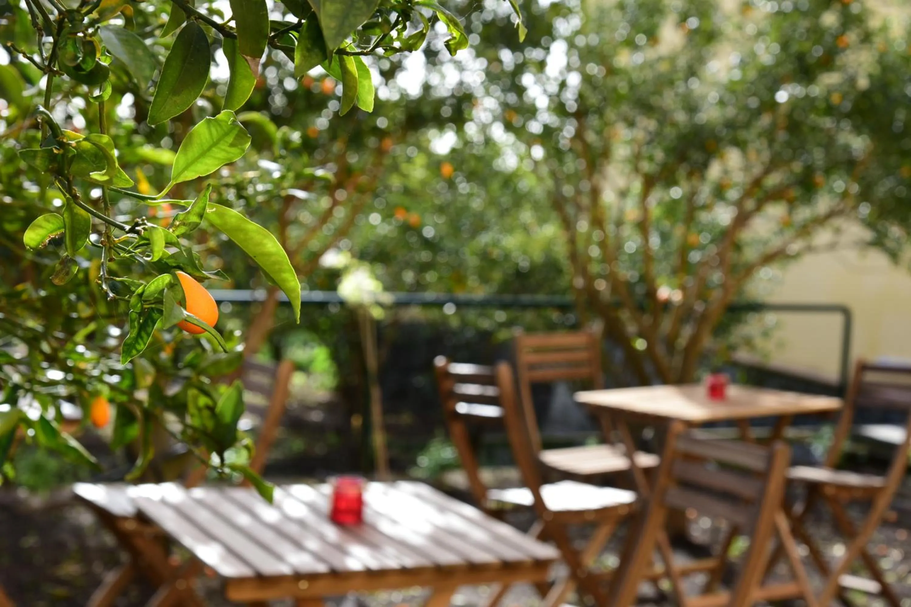 Garden in Giardino Arancio