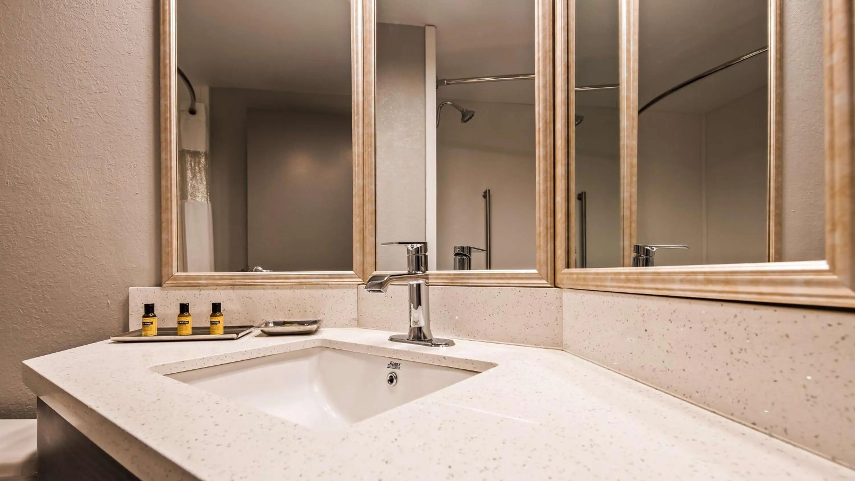 Bathroom in Best Western Plus Bloomington East