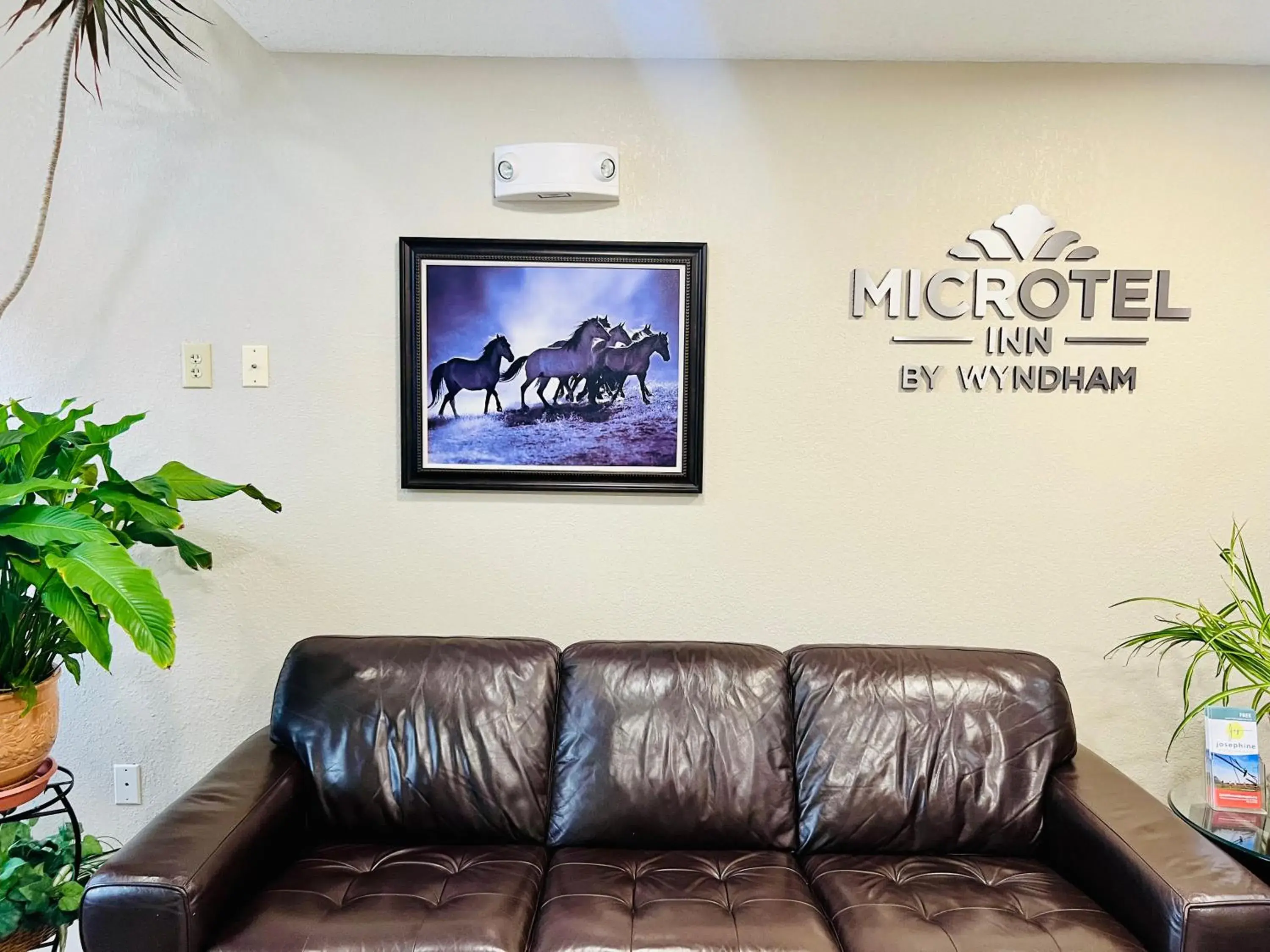 Lobby or reception in Microtel Inn Georgetown - Lexington North Lobby or reception in Microtel Inn Georgetown - Lexington North