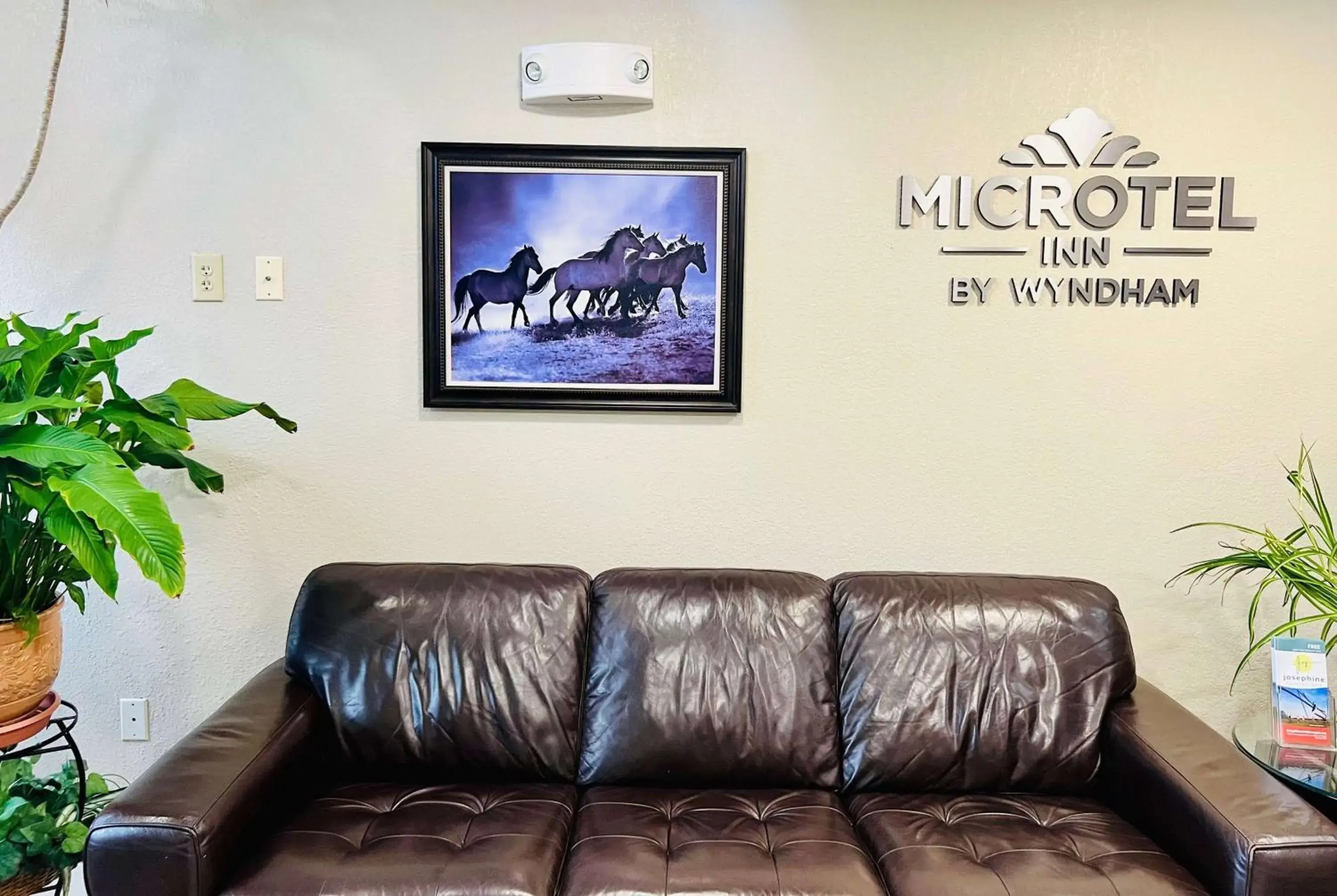 Lobby or reception in Microtel Inn Georgetown - Lexington North Lobby or reception in Microtel Inn Georgetown - Lexington North