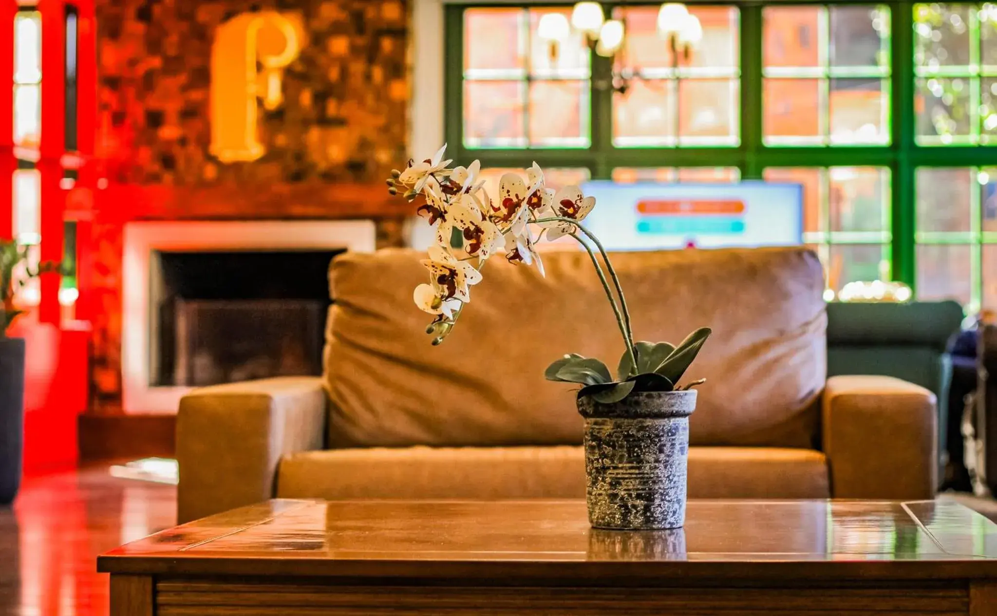 Living room in Hotel Fioreze Origem Living room in Hotel Fioreze Origem