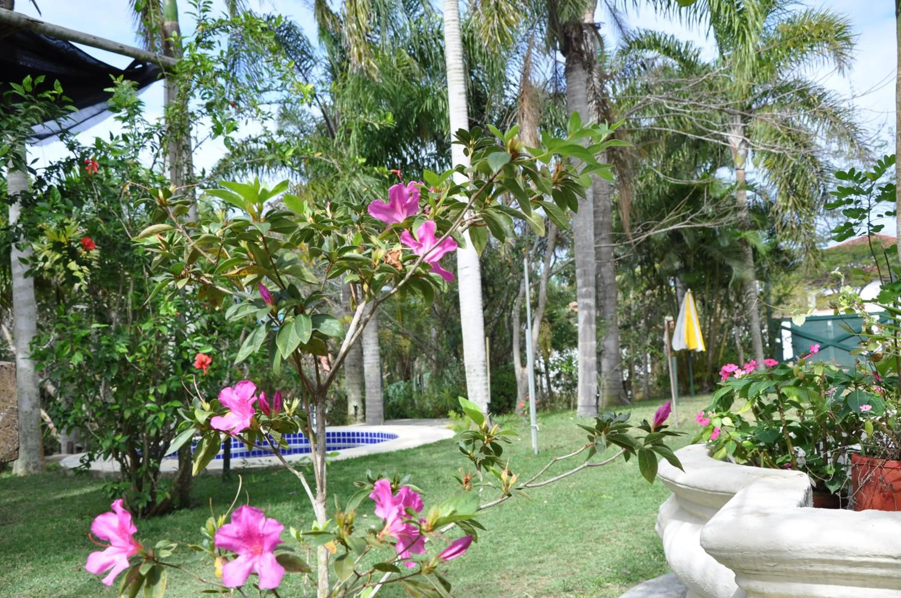 Garden in Ferradura Parque Pousada