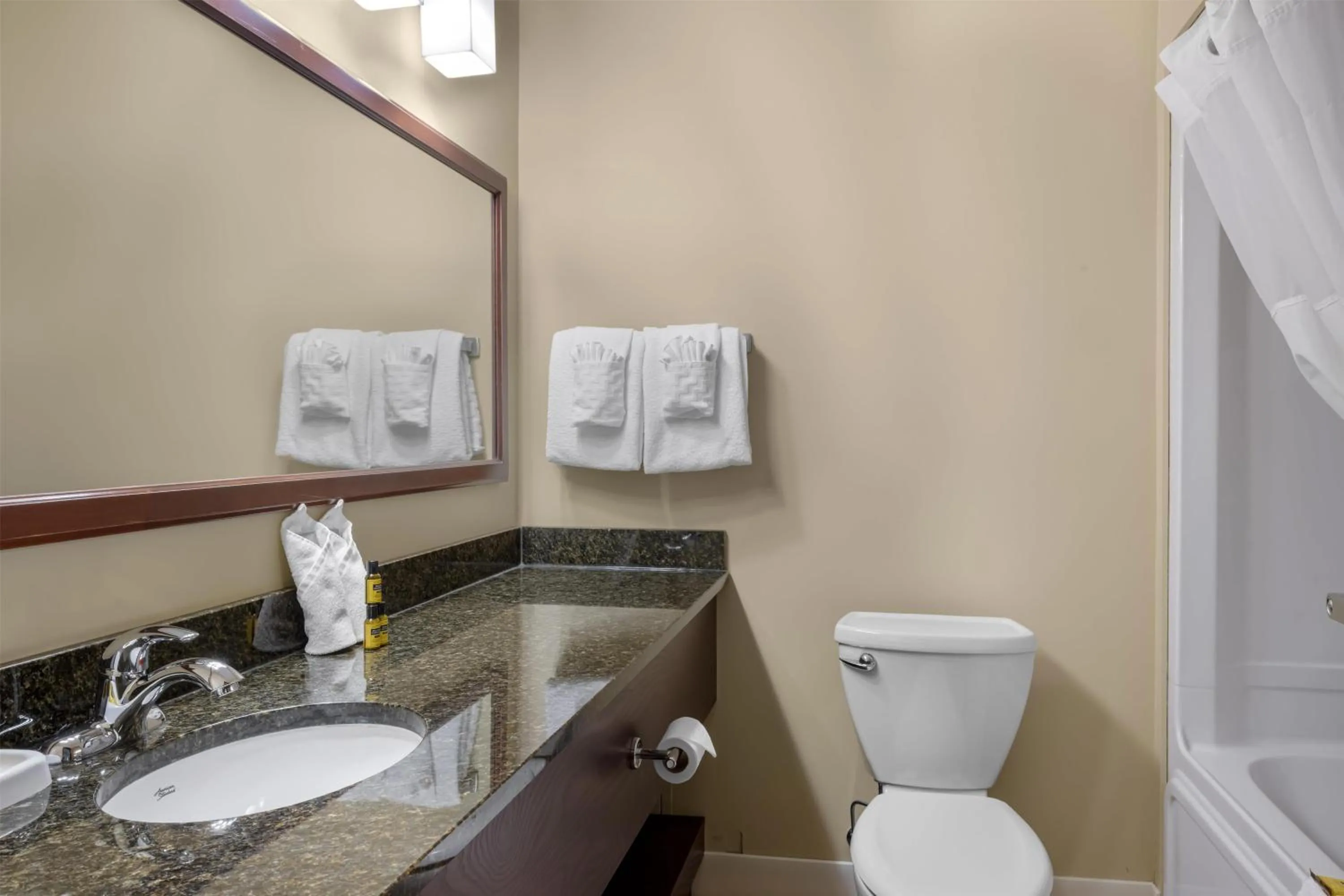Bathroom in Best Western Plus Fredericton Hotel & Suites