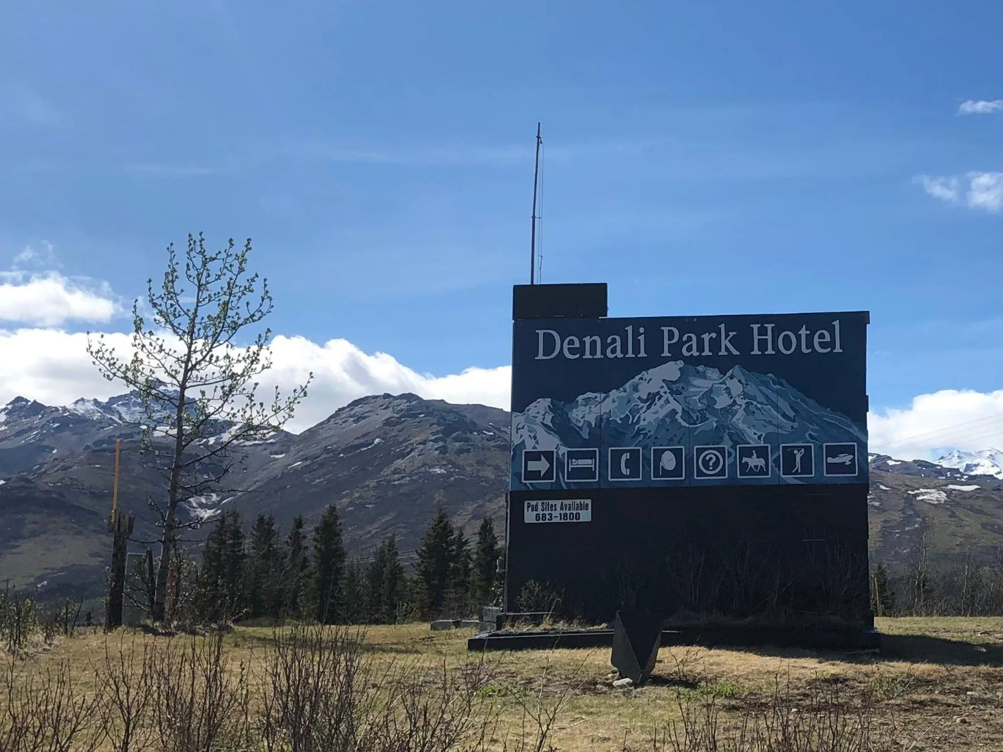 Natural landscape in Denali Park Hotel