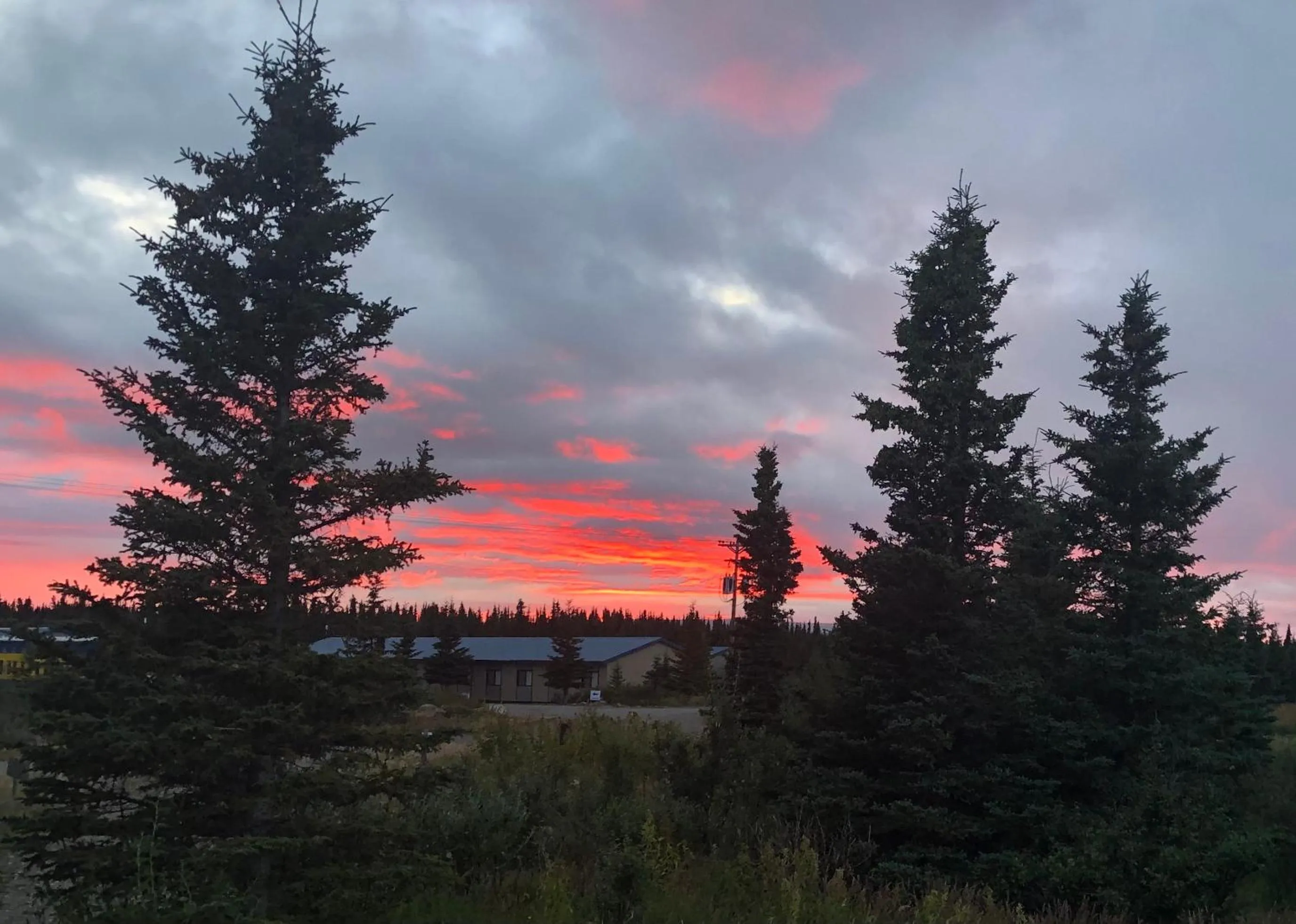 Property building in Denali Park Hotel