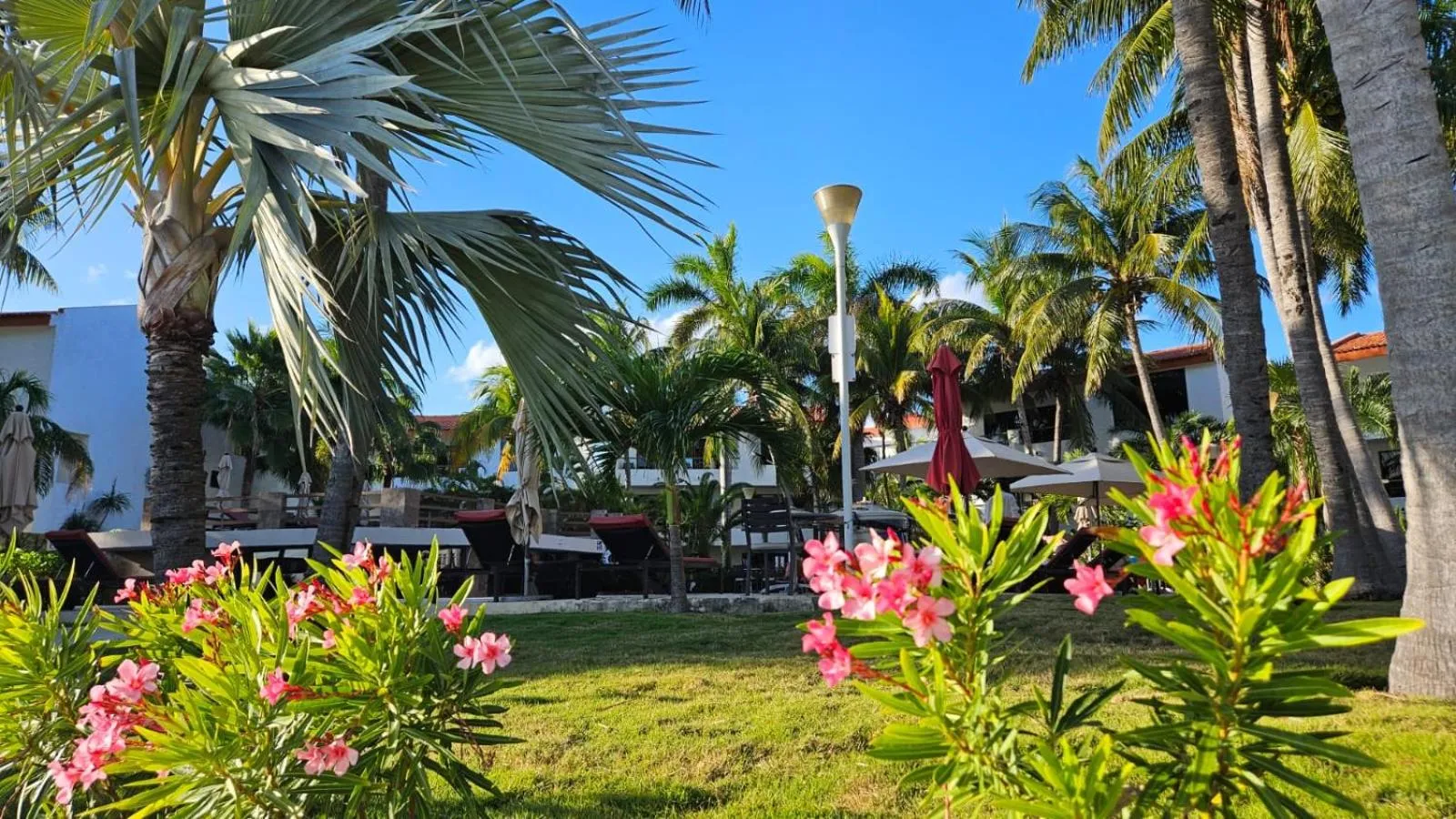 Garden in Sina Suites Cancun - Adults Only