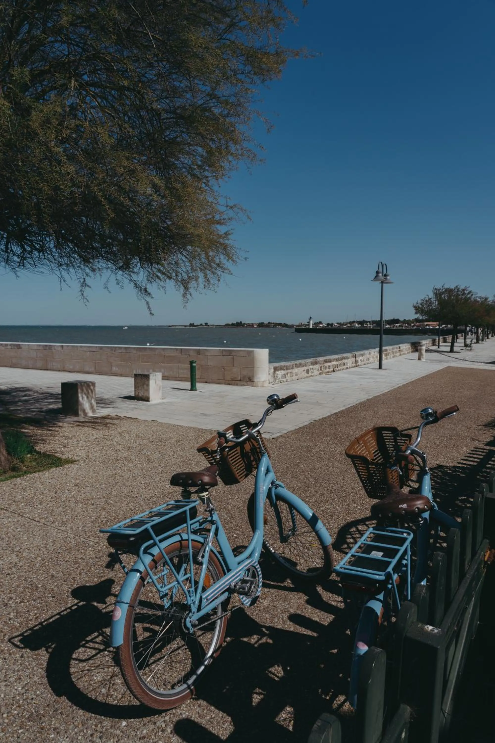 Cycling in Hôtel OYAT Ile de Ré - ex Escale