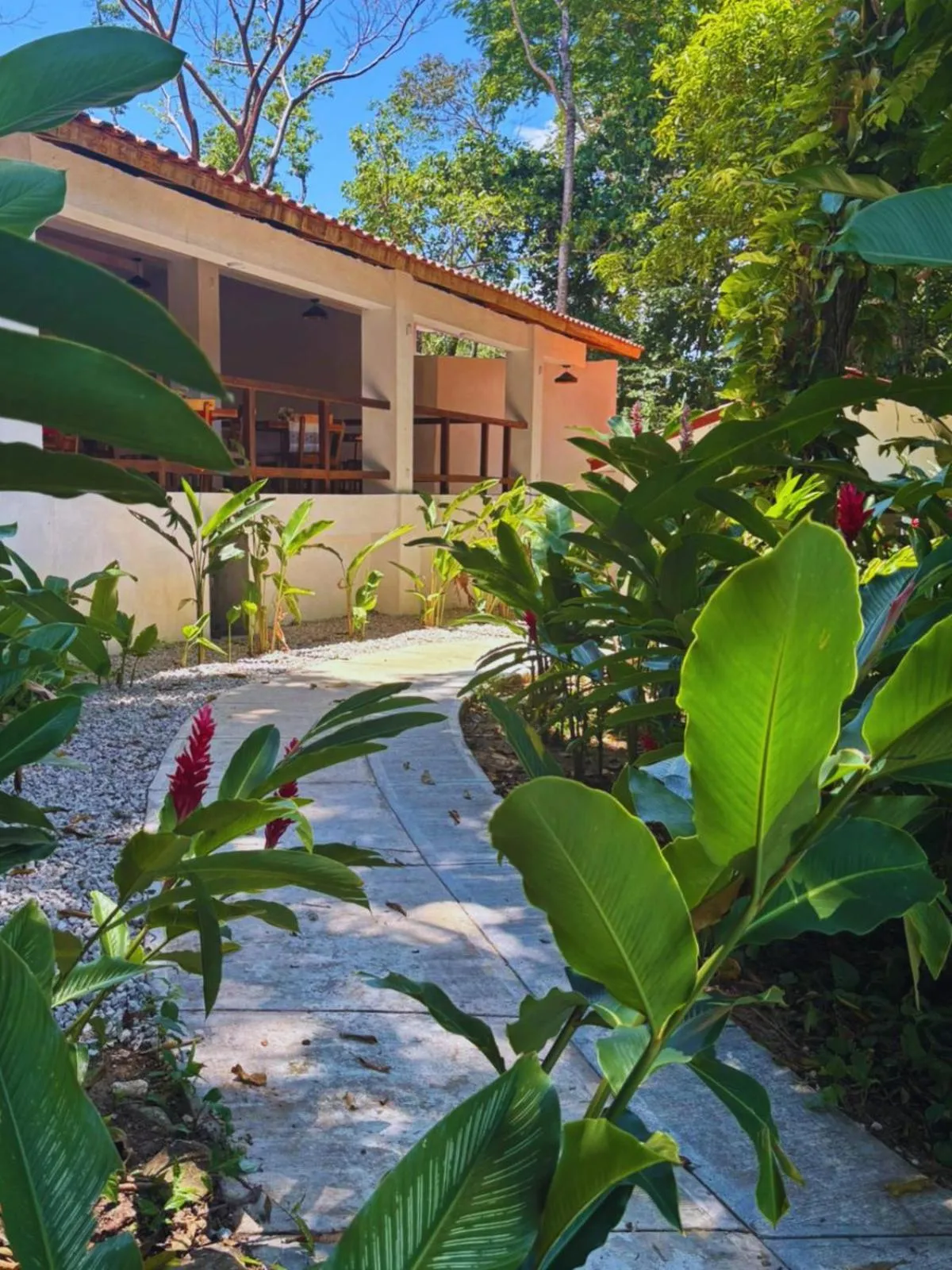 Restaurant/places to eat in Hotel La Aldea del Halach Huinic