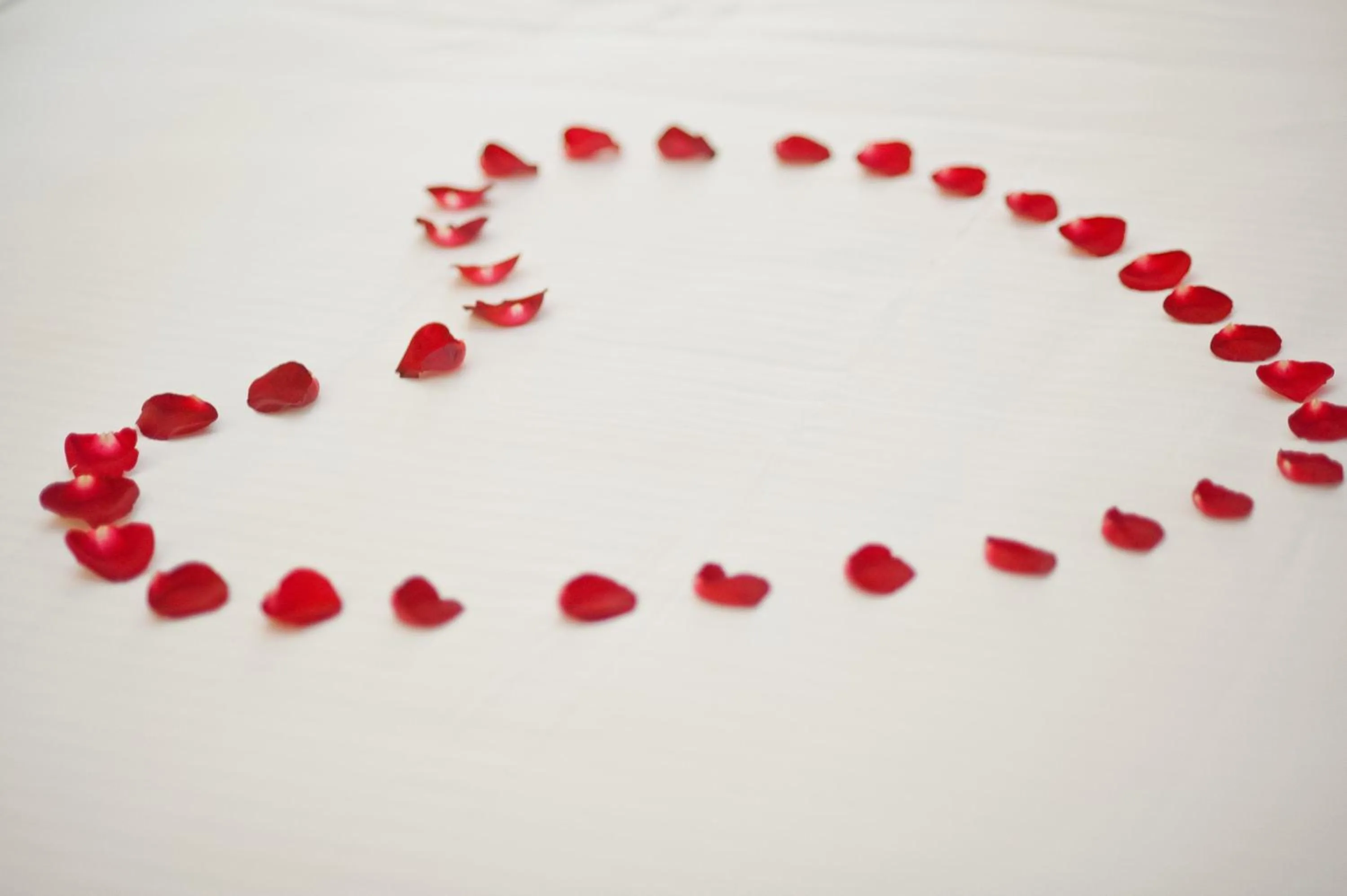 Decorative detail in Muong Thanh Luxury Lang Son Hotel