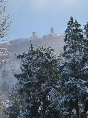 Area and facilities in Hotel- Restaurant Poststuben
