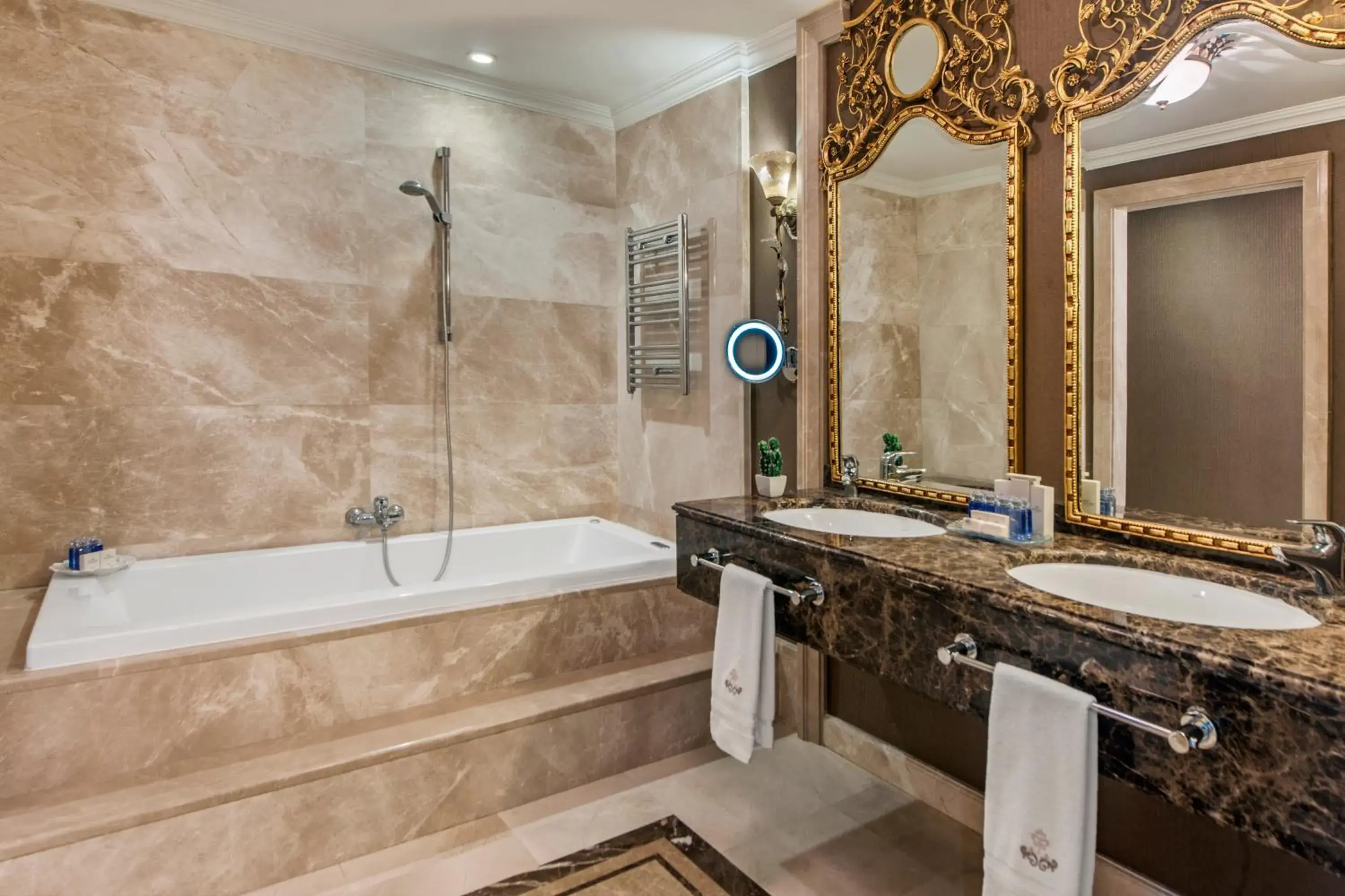 Bathroom in Elite World Van Bathroom in Elite World Van