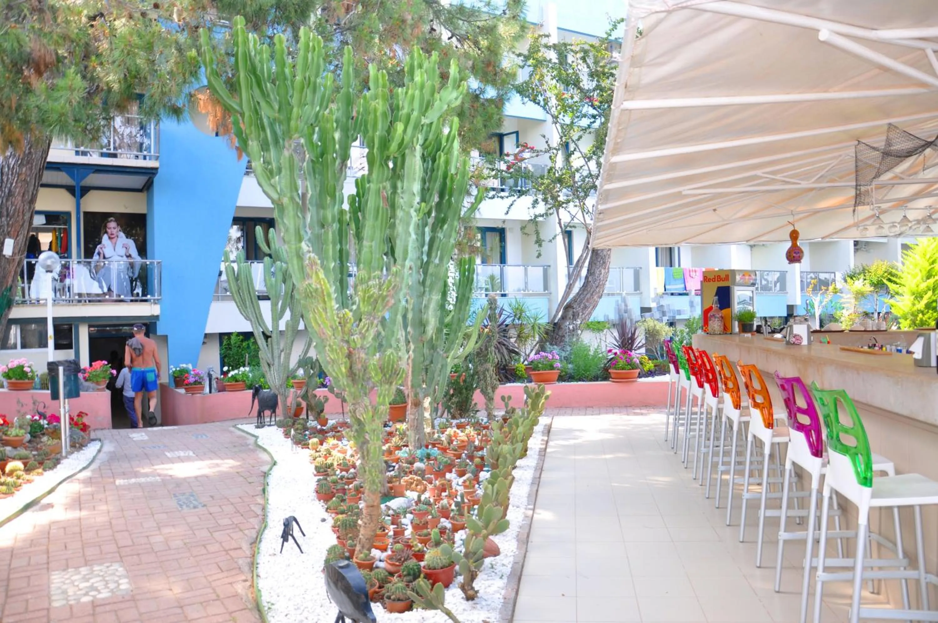 Lounge or bar in Club Hotel Rama