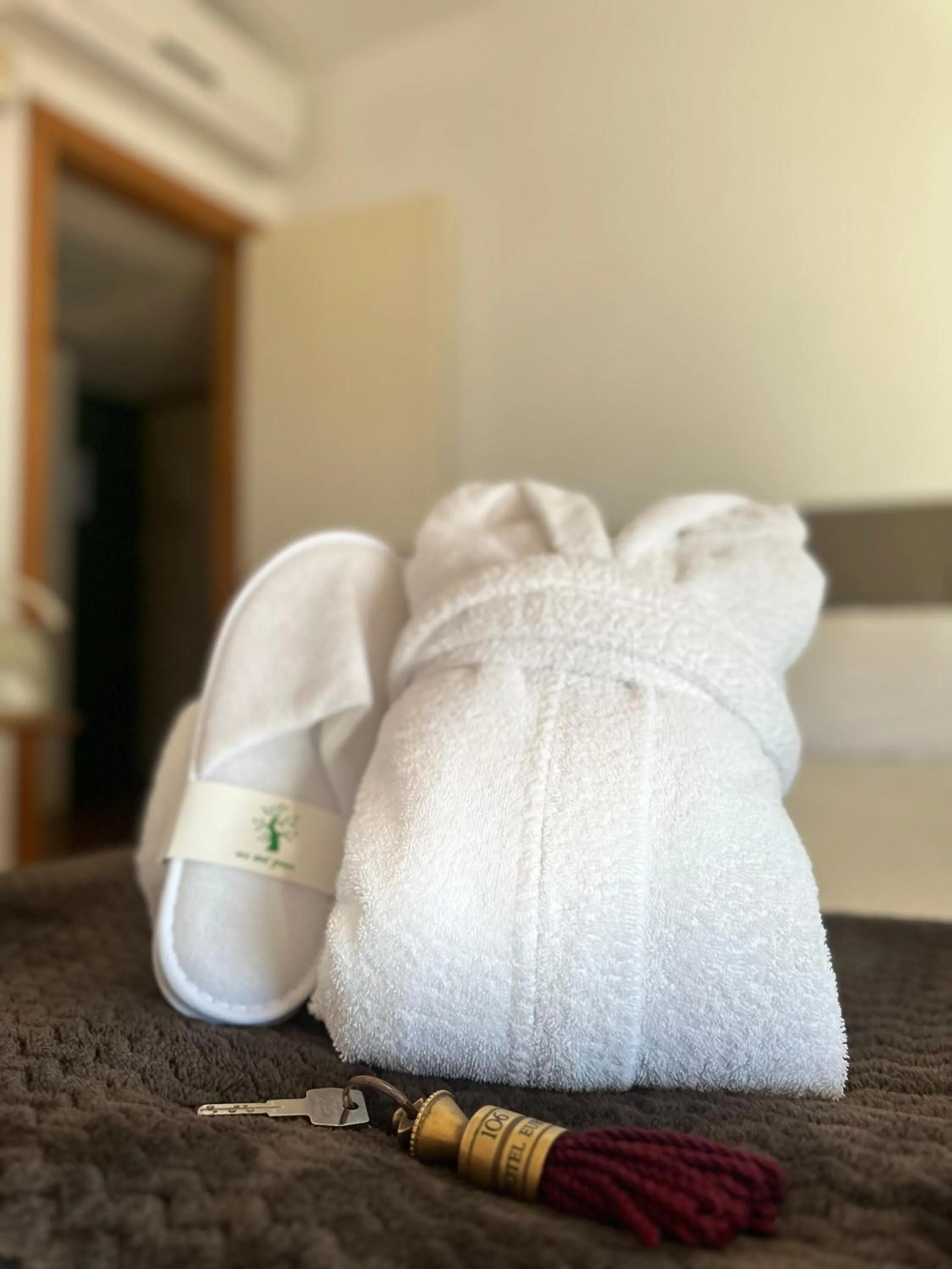 View (from property/room), Bed in Hotel Europa