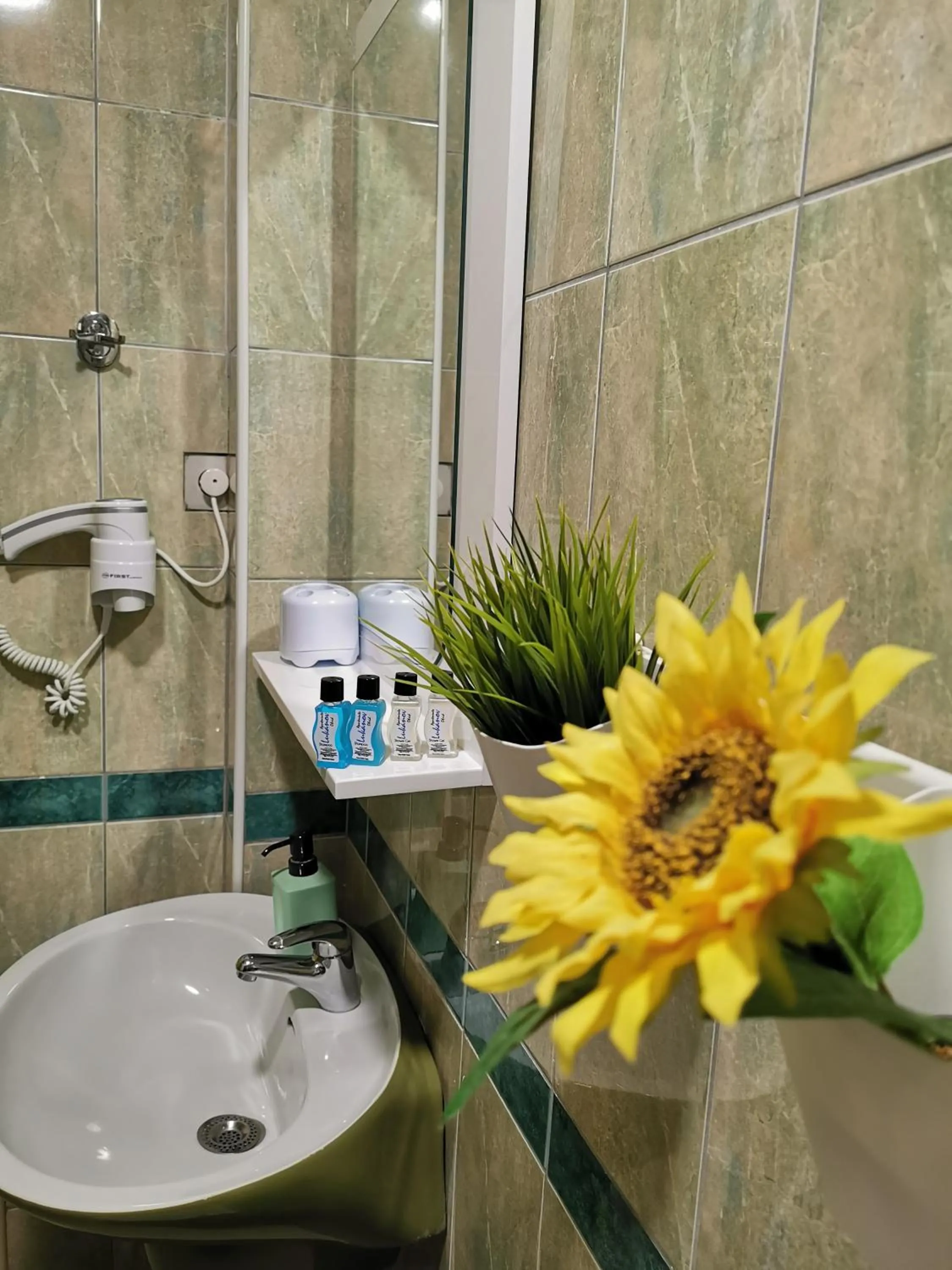 Bathroom in Lukanov Apartments & Guest Rooms