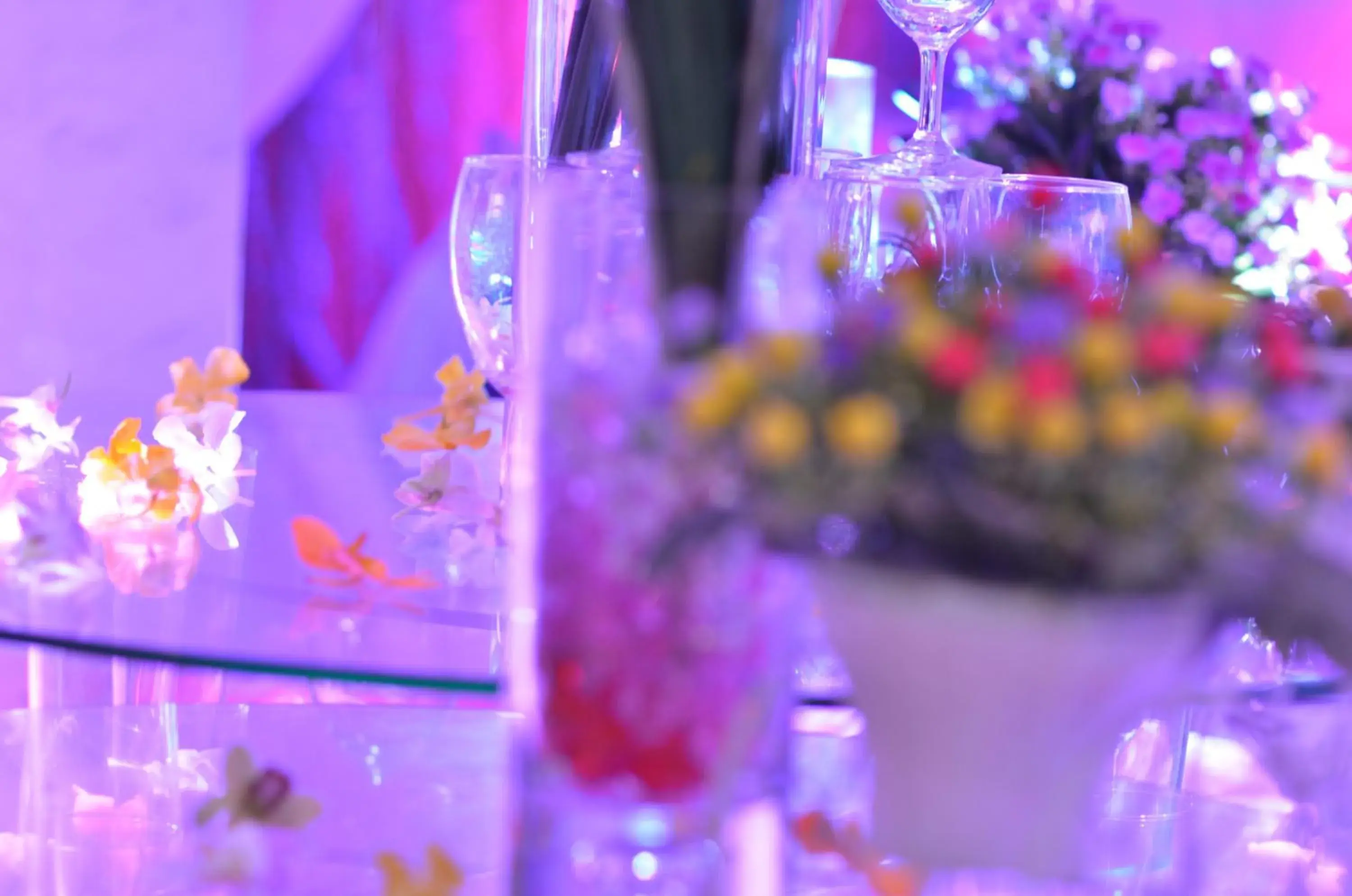 Lounge or bar in Sai Gon Kim Lien Hotel Vinh City Lounge or bar in Sai Gon Kim Lien Hotel Vinh City