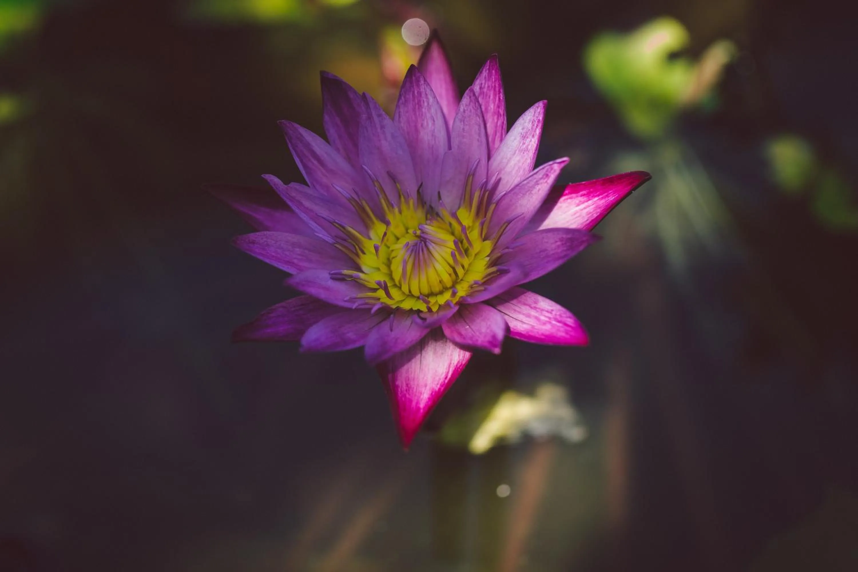 Decorative detail in Koyao Bay Pavilions - Beach Resort and Pool Villas