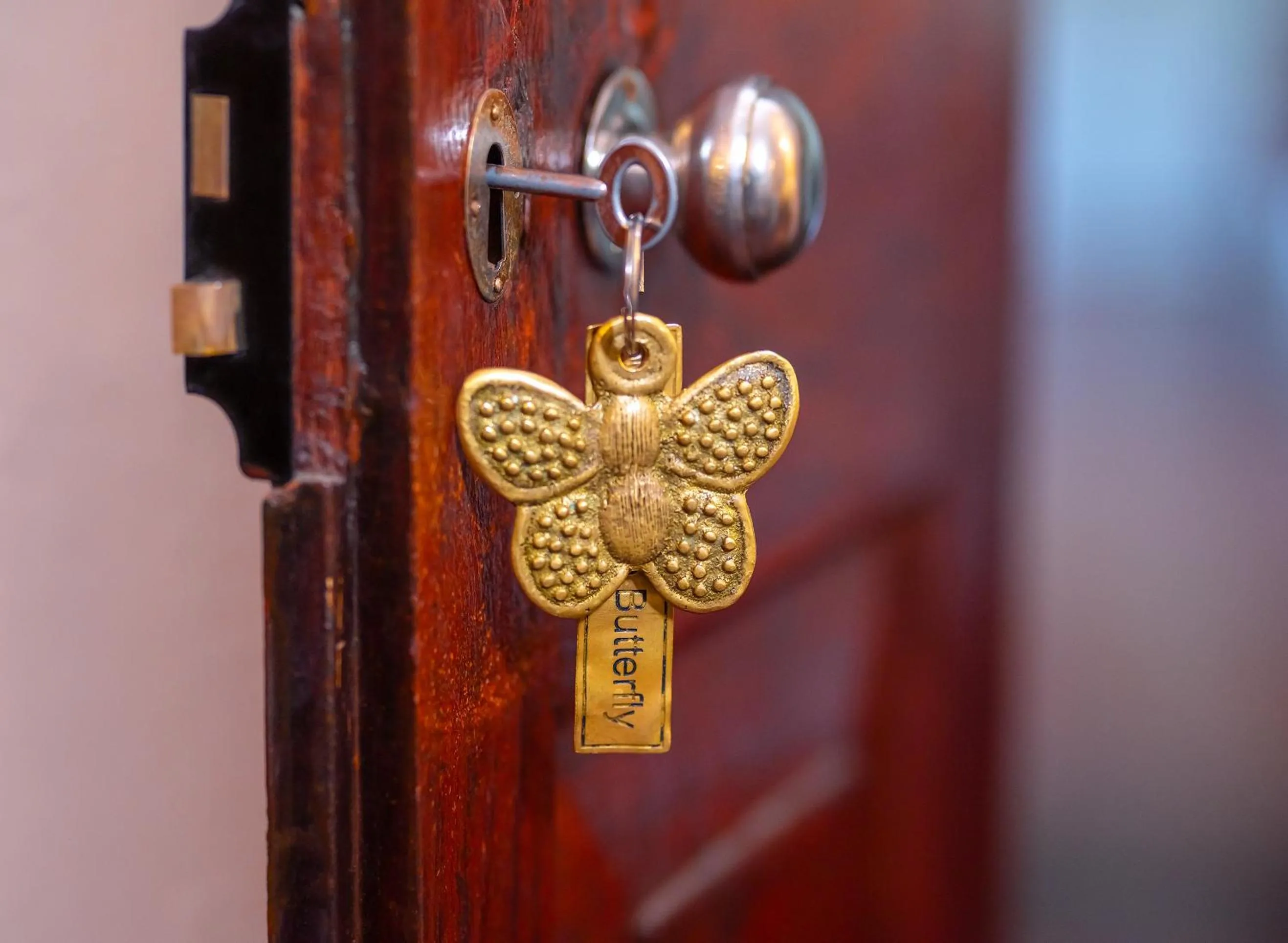 Property building in Adigars Manor