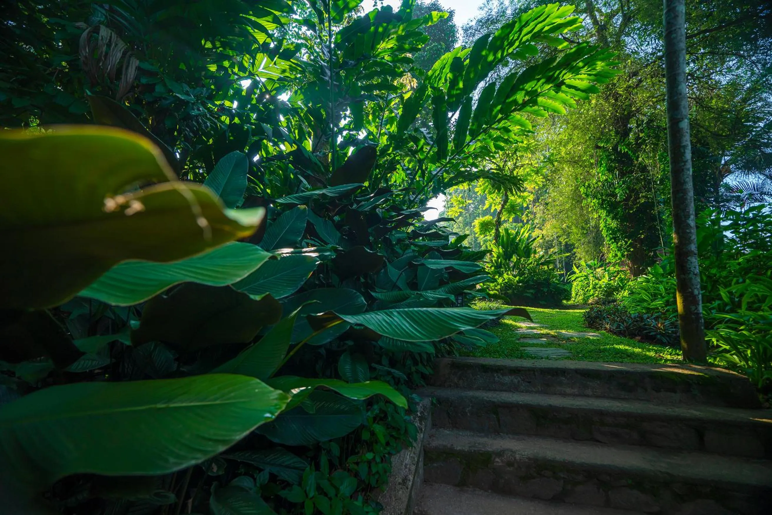 Garden in Adigars Manor