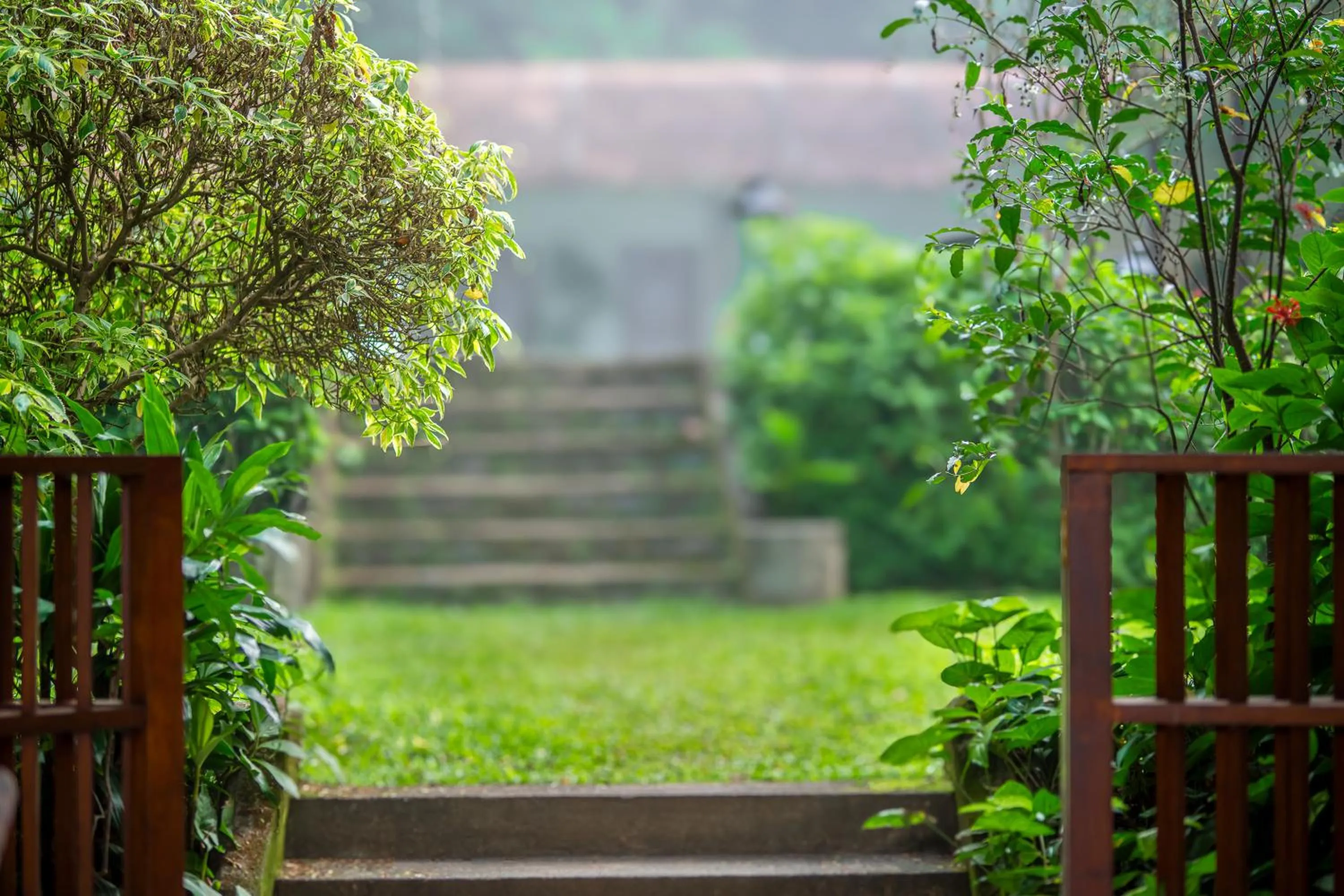 Garden in Adigars Manor