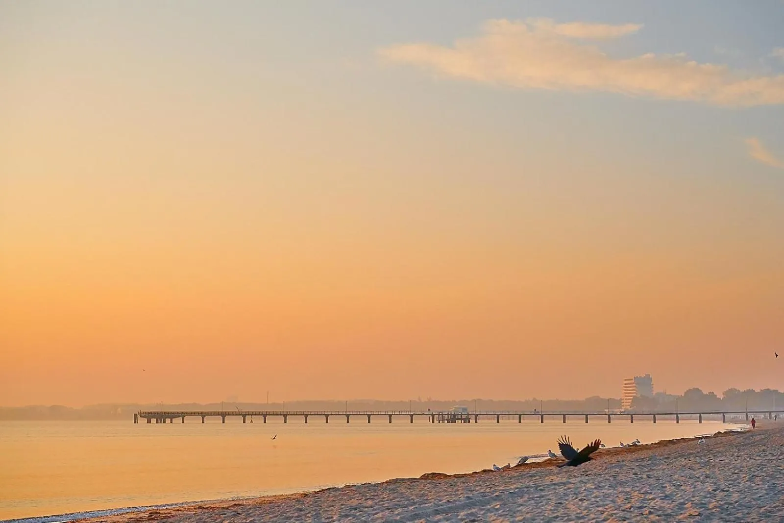 Beach in Strandhotel Fontana