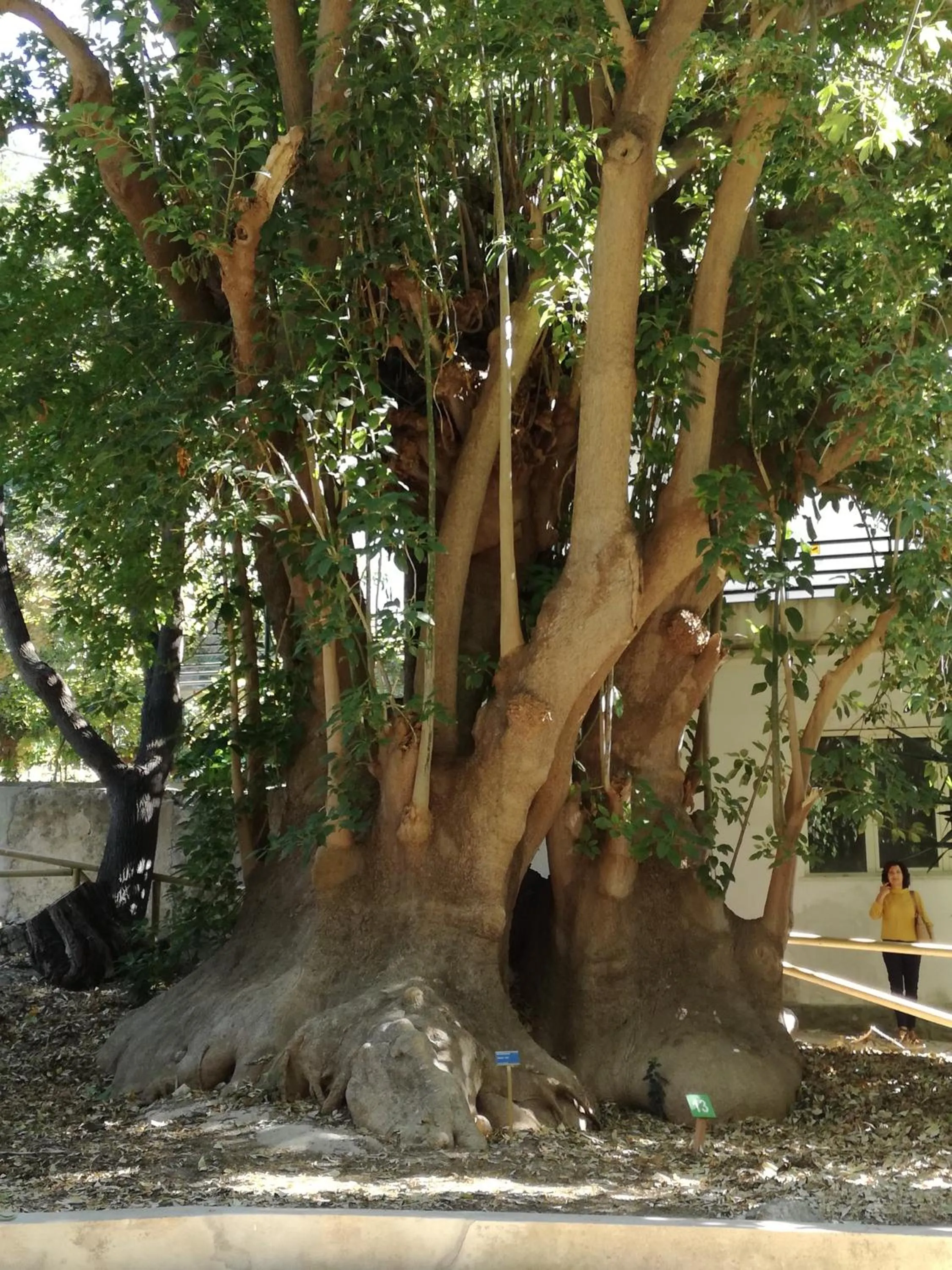 Nearby landmark in Su Murdegu