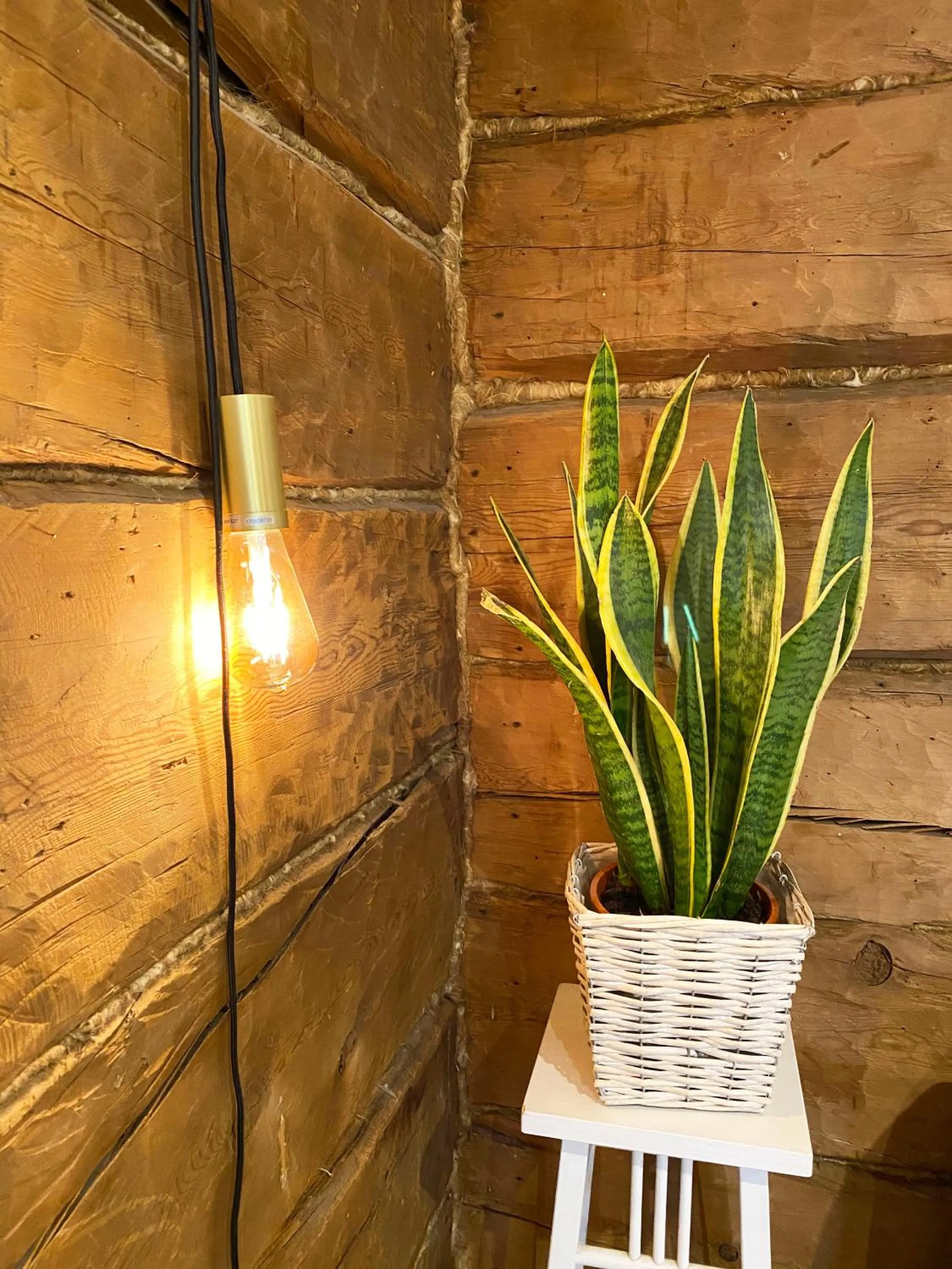 Decorative detail in LAURI Historical Log House Manor