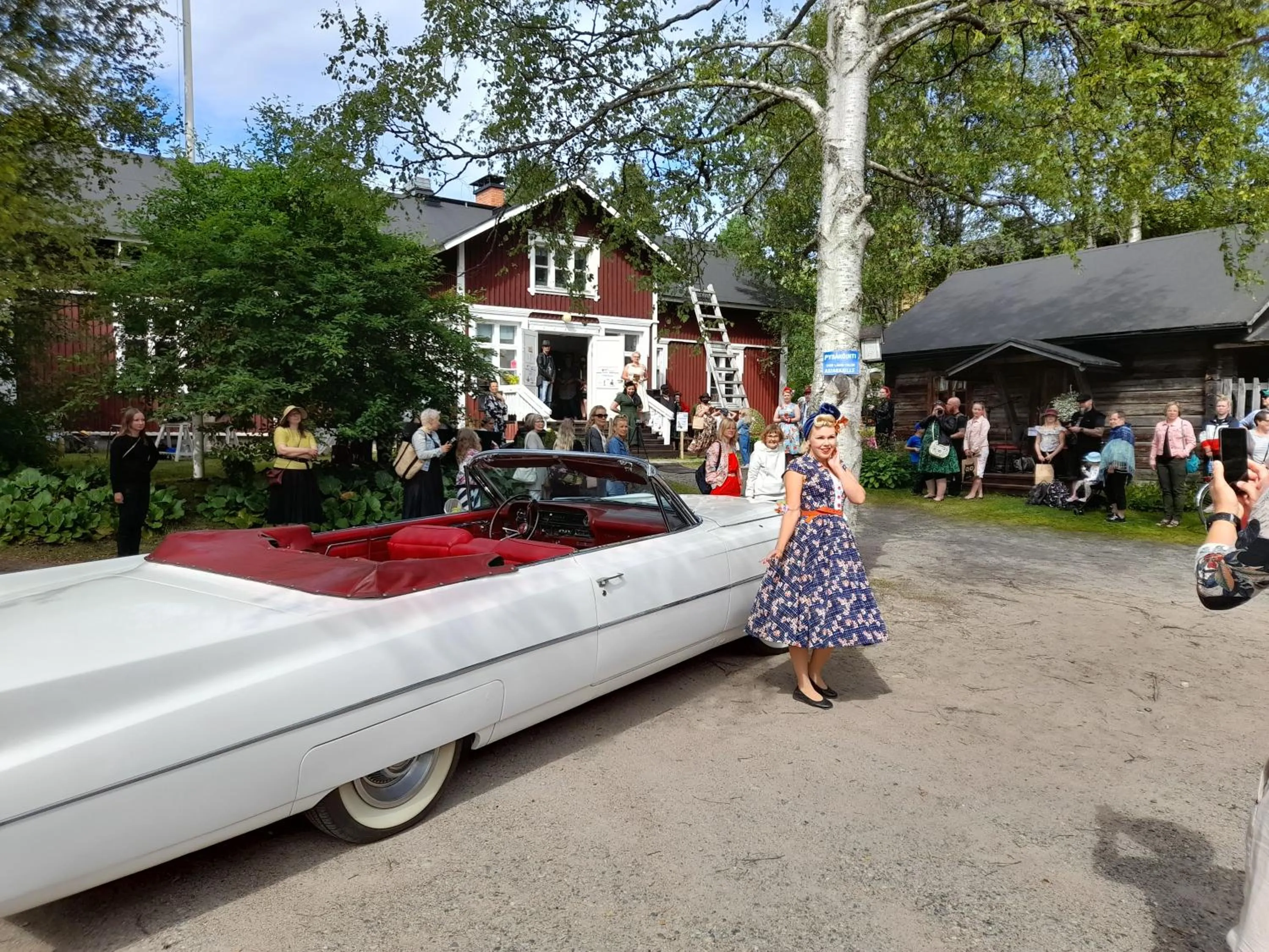 Summer in LAURI Historical Log House Manor