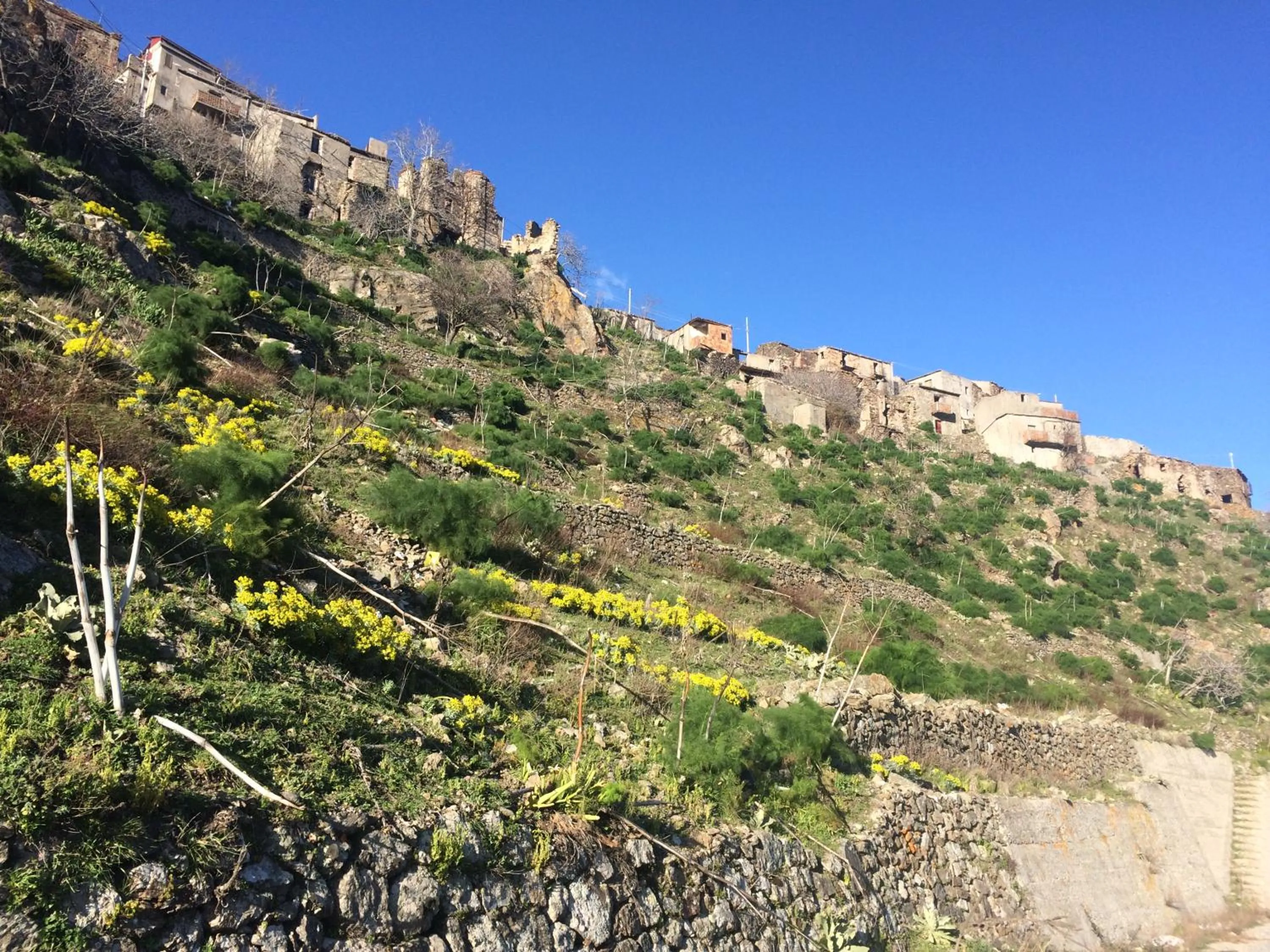 Spring in Hotel Il Girasole