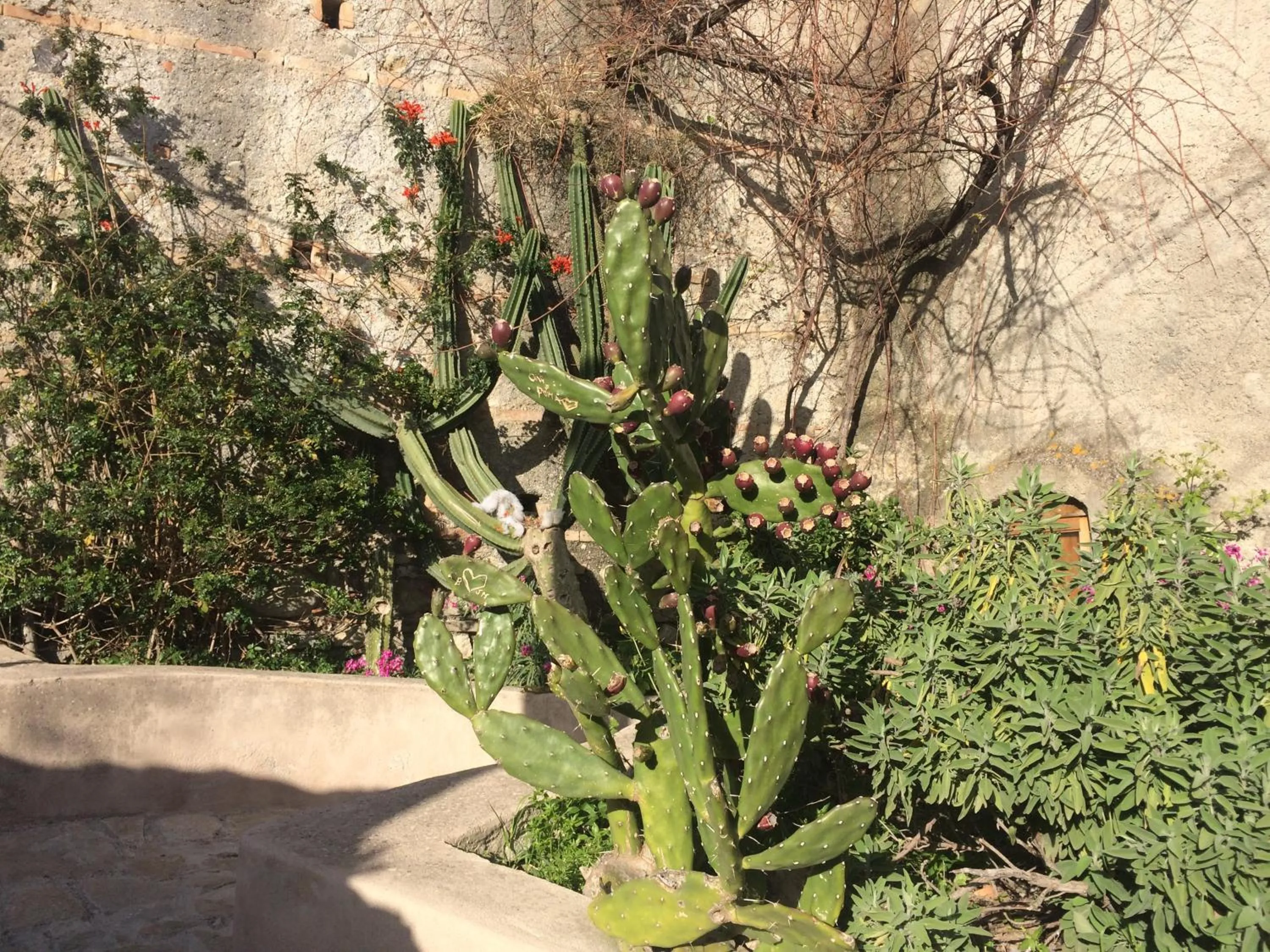 Spring in Hotel Il Girasole