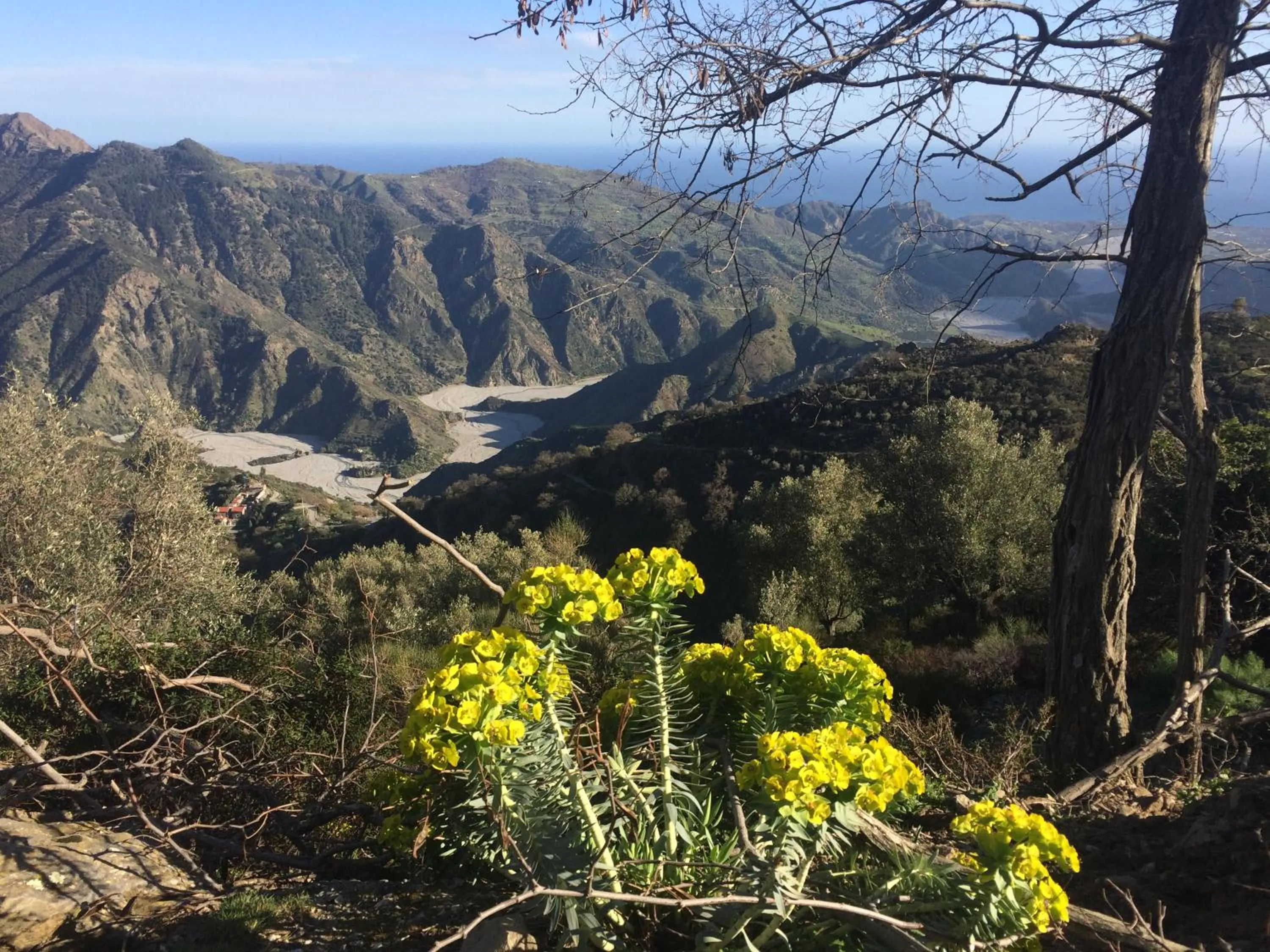 Spring in Hotel Il Girasole