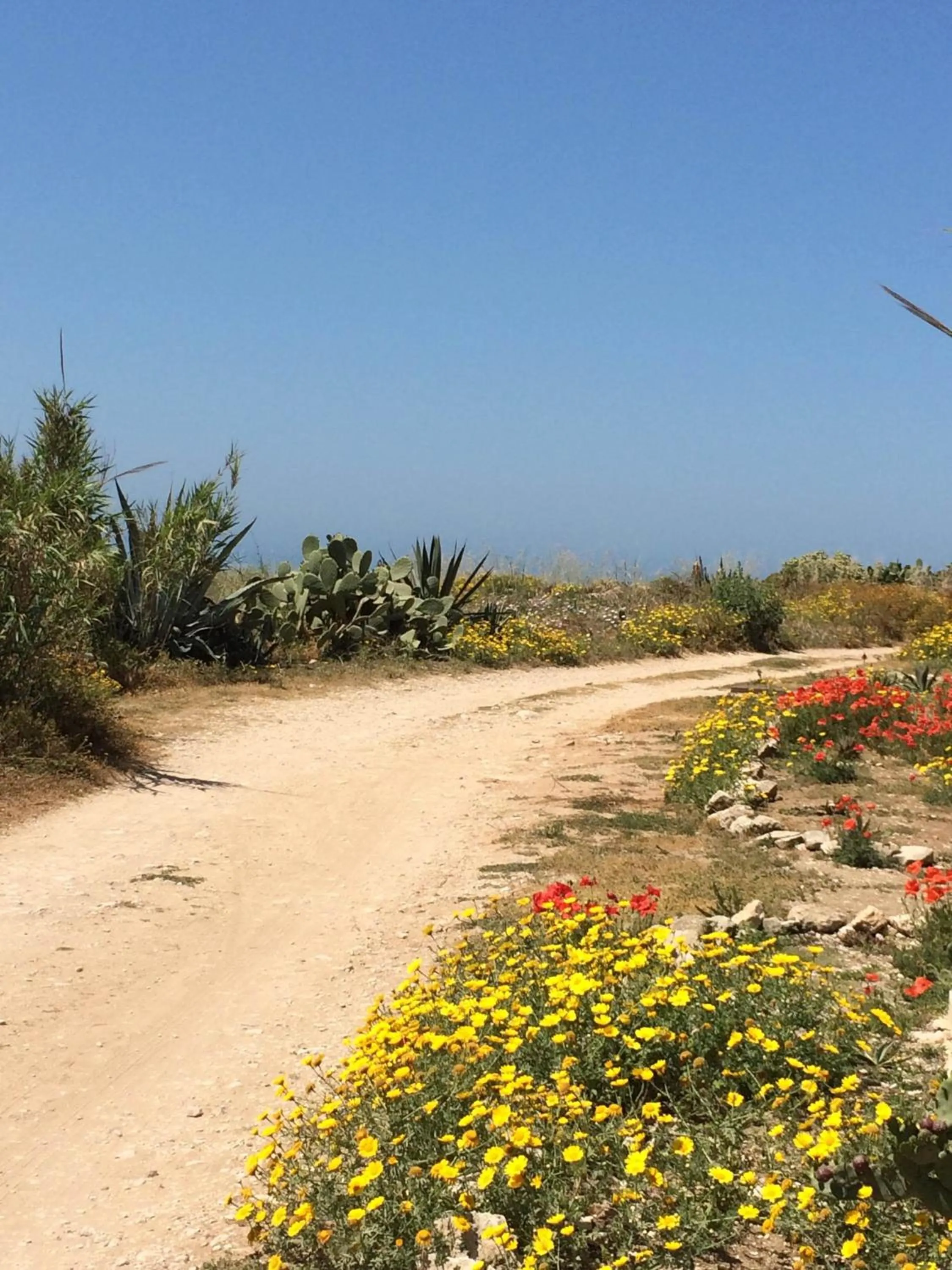 Day in Residence Casa Del Mar Sicilia