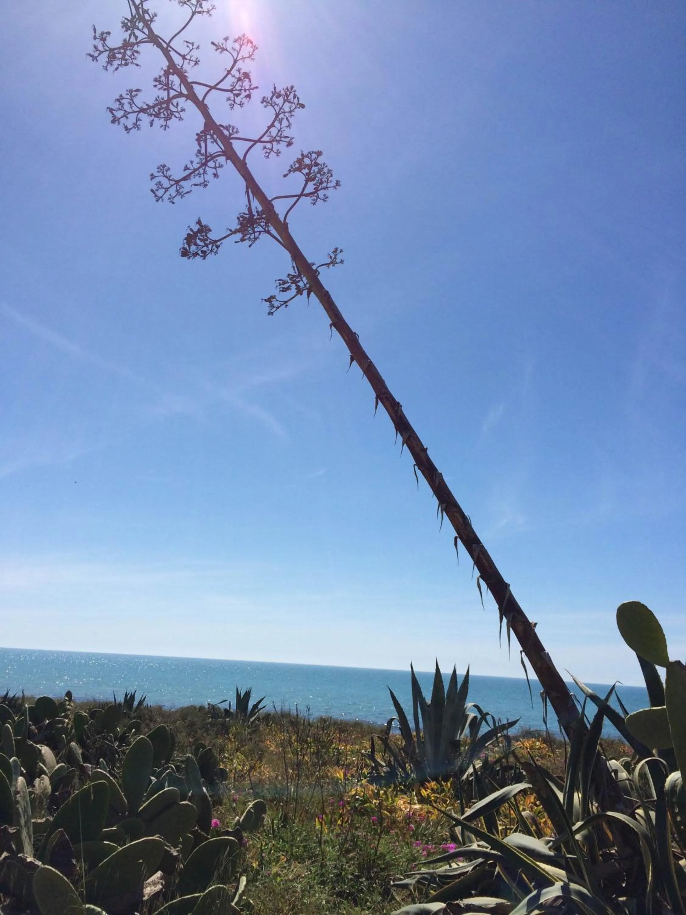 Day in Residence Casa Del Mar Sicilia