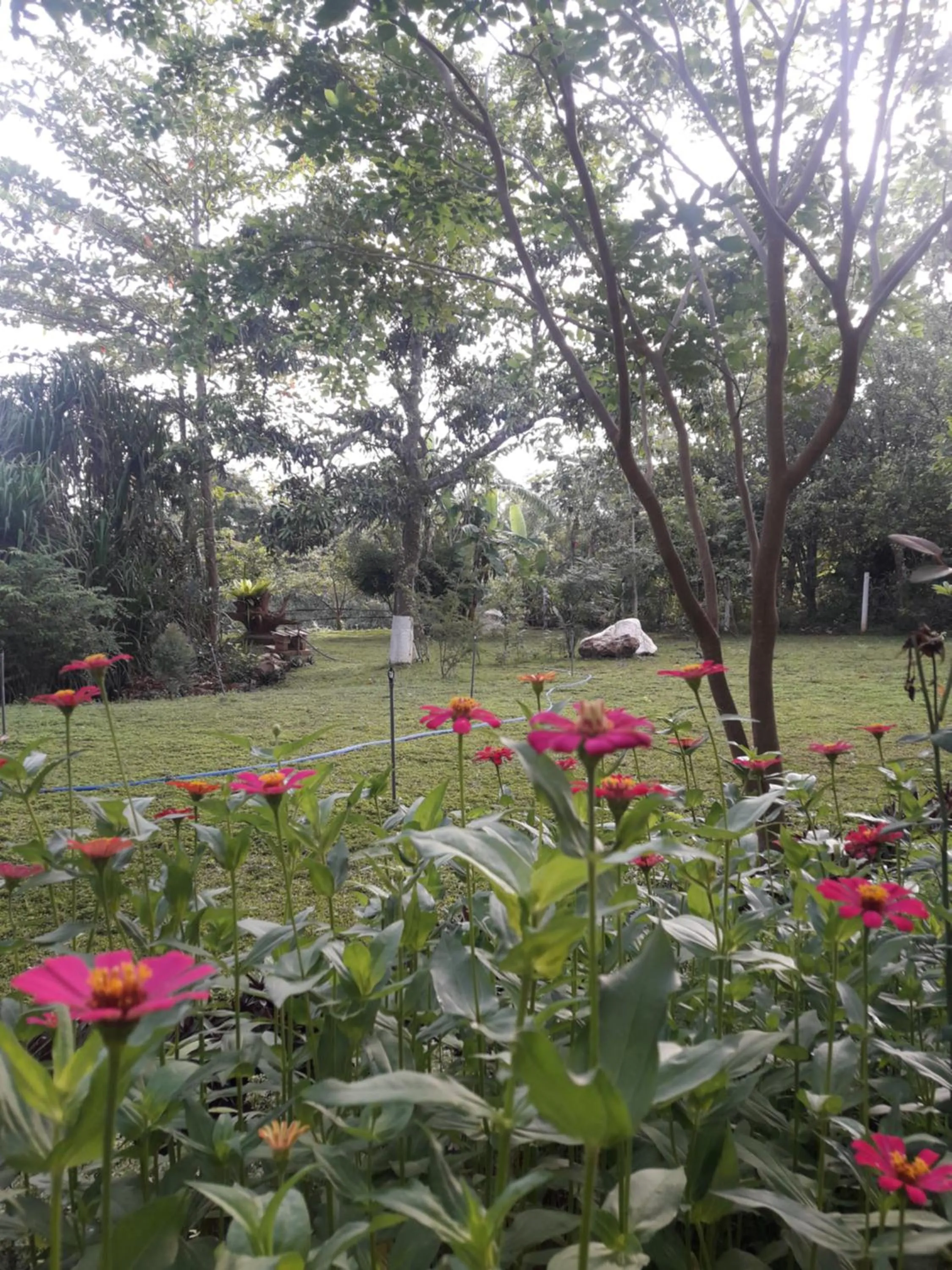 Garden in Vimanra Udawalawa