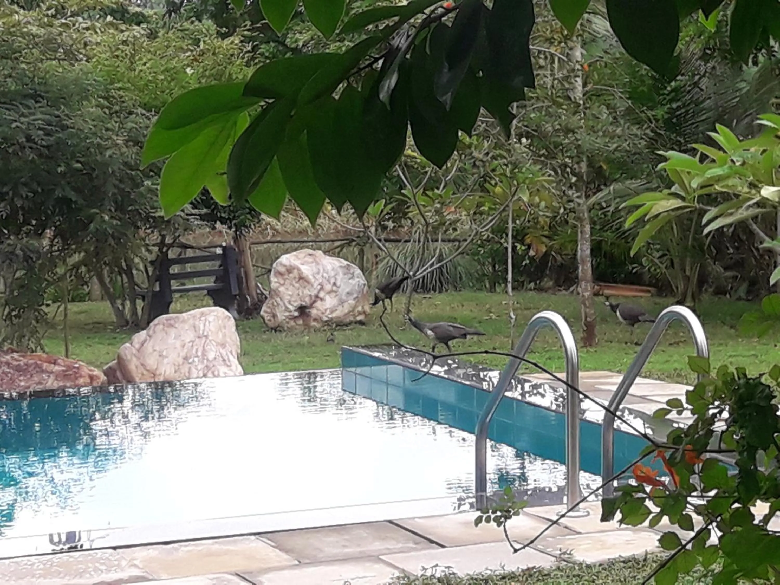 Pool view in Vimanra Udawalawa