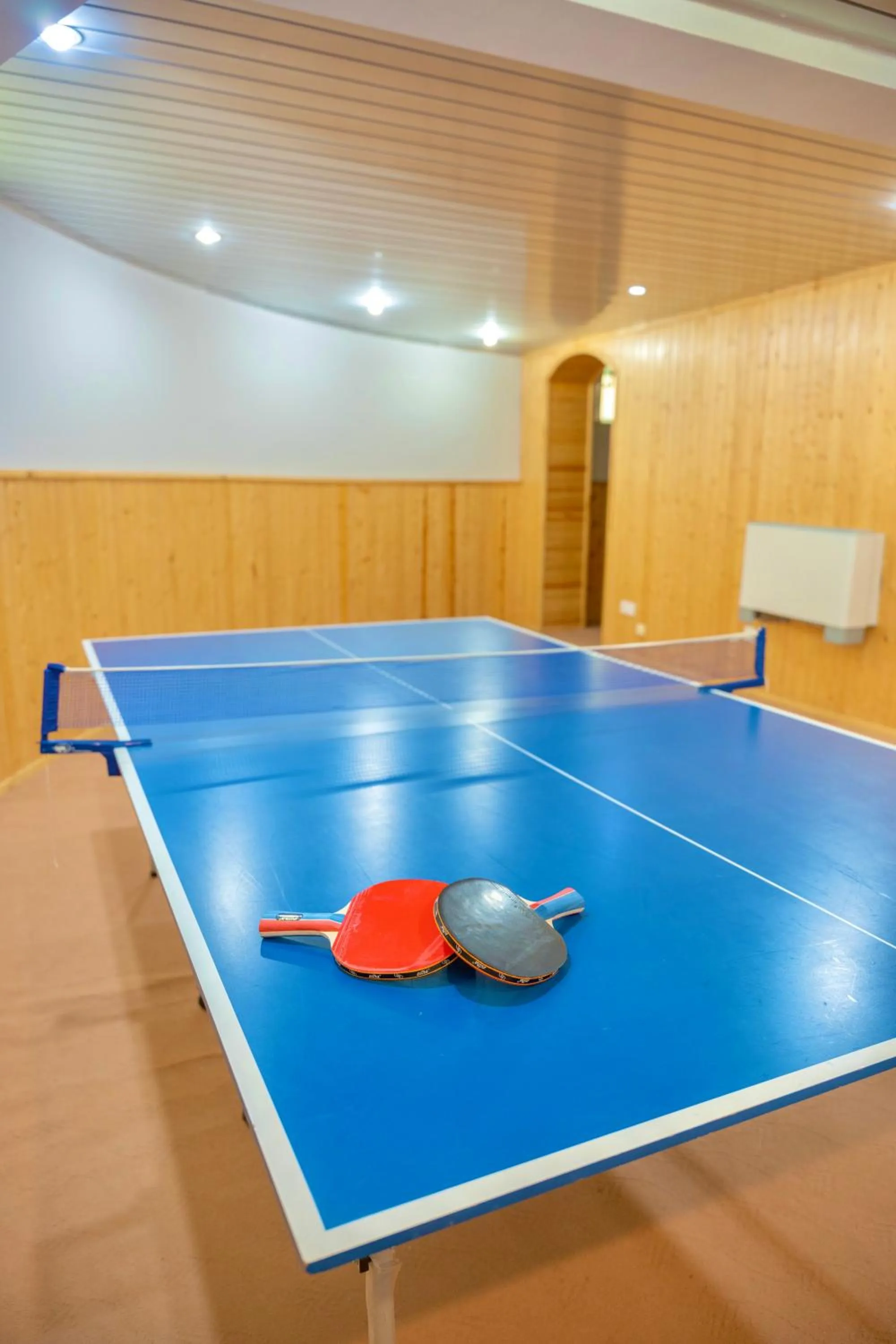 Table tennis in Panorama Villa Lux Hotel