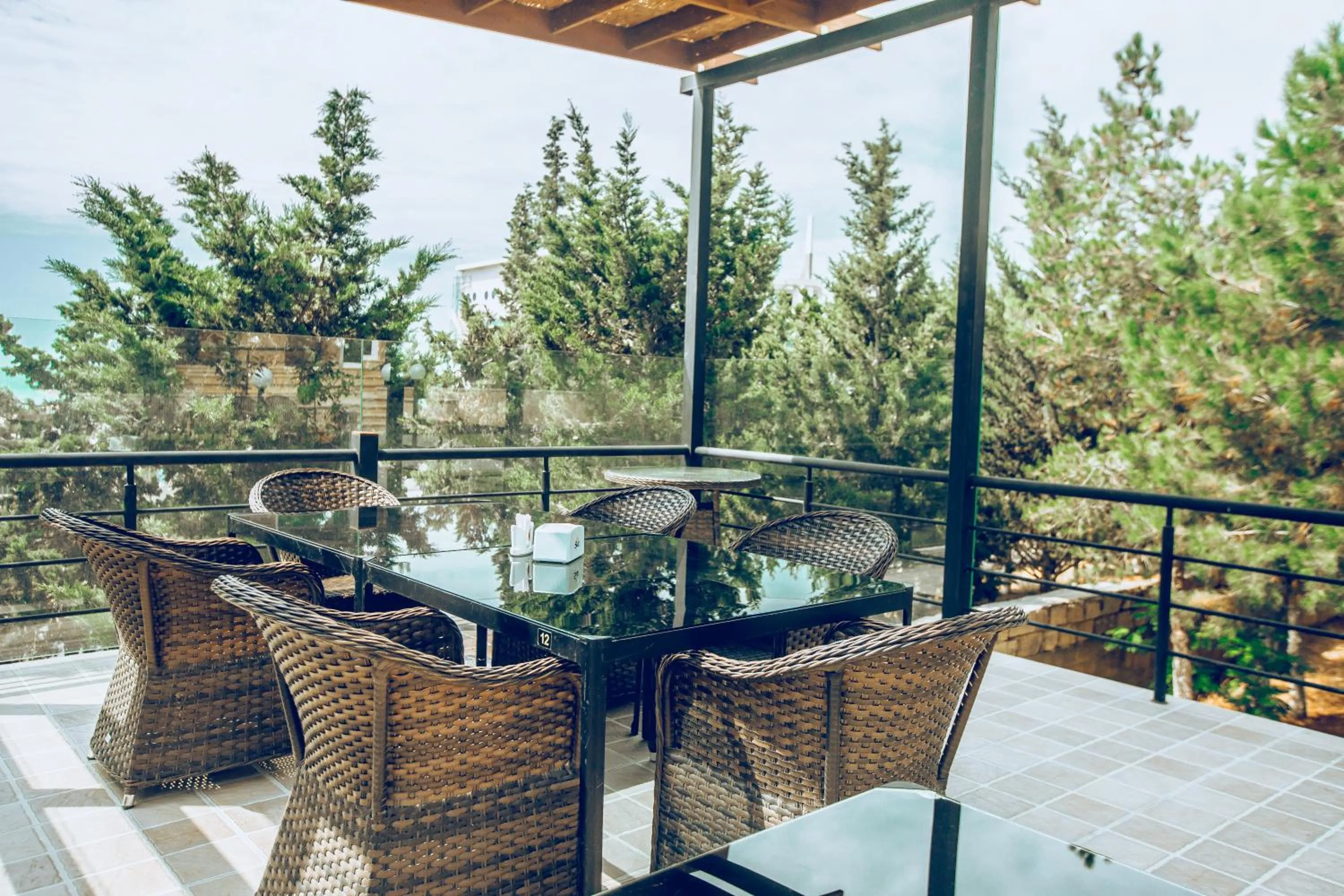 Patio in Panorama Villa Lux Hotel