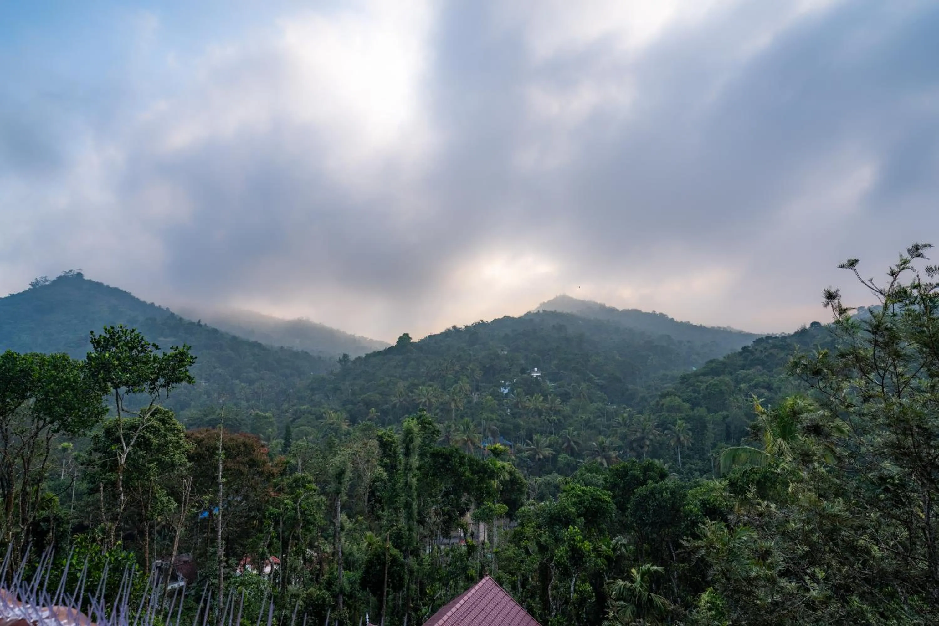 Crown Valley Thekkady